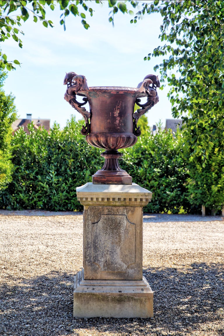 A beautiful 19th century antique cast-iron vase including limestone base pedestal.
The antique vase is cast iron and the base is made of French limestone. A nice combination of both materials. The vase is richly decorated with various ornaments and