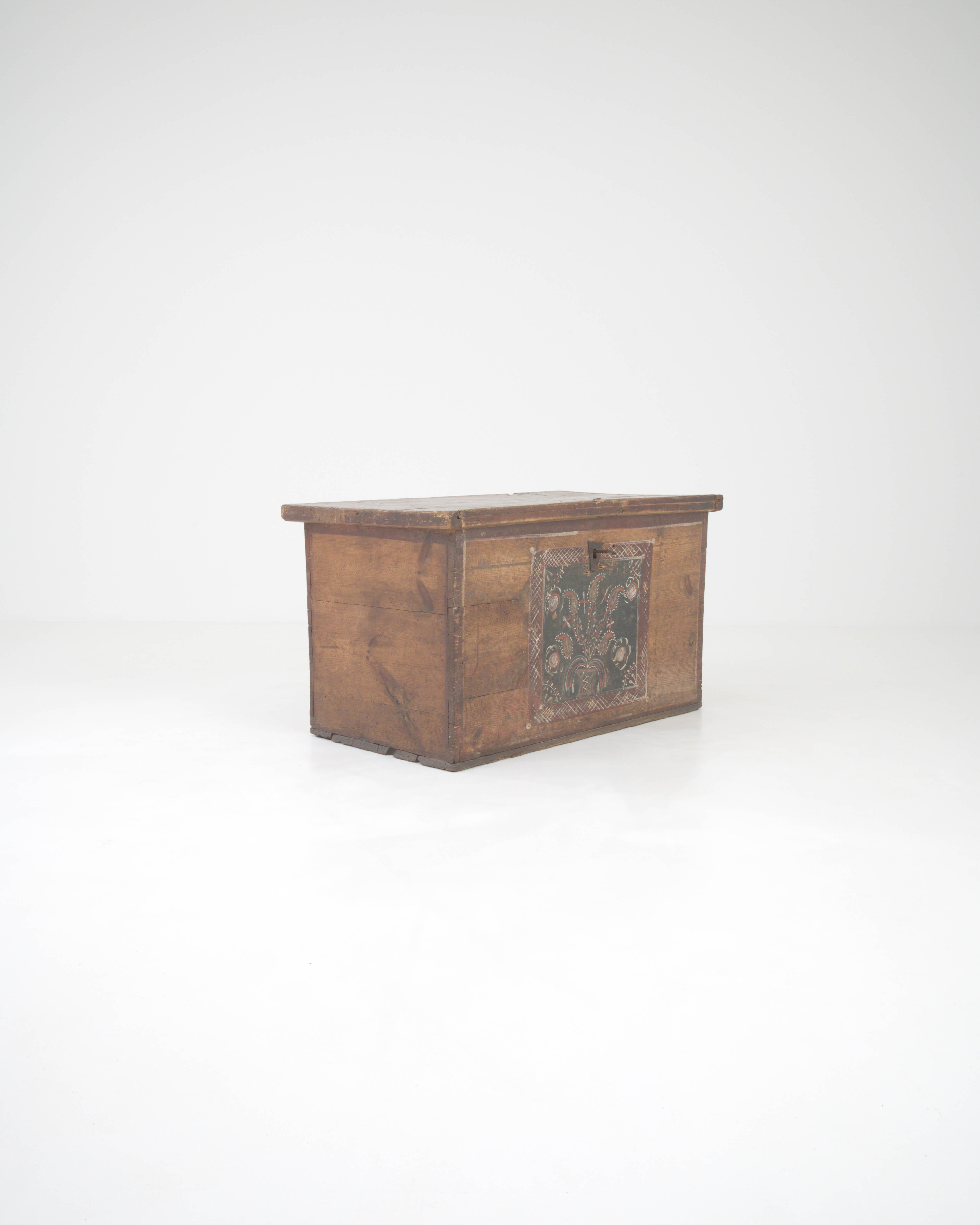 19th Century Central European Wooden Chest For Sale 1