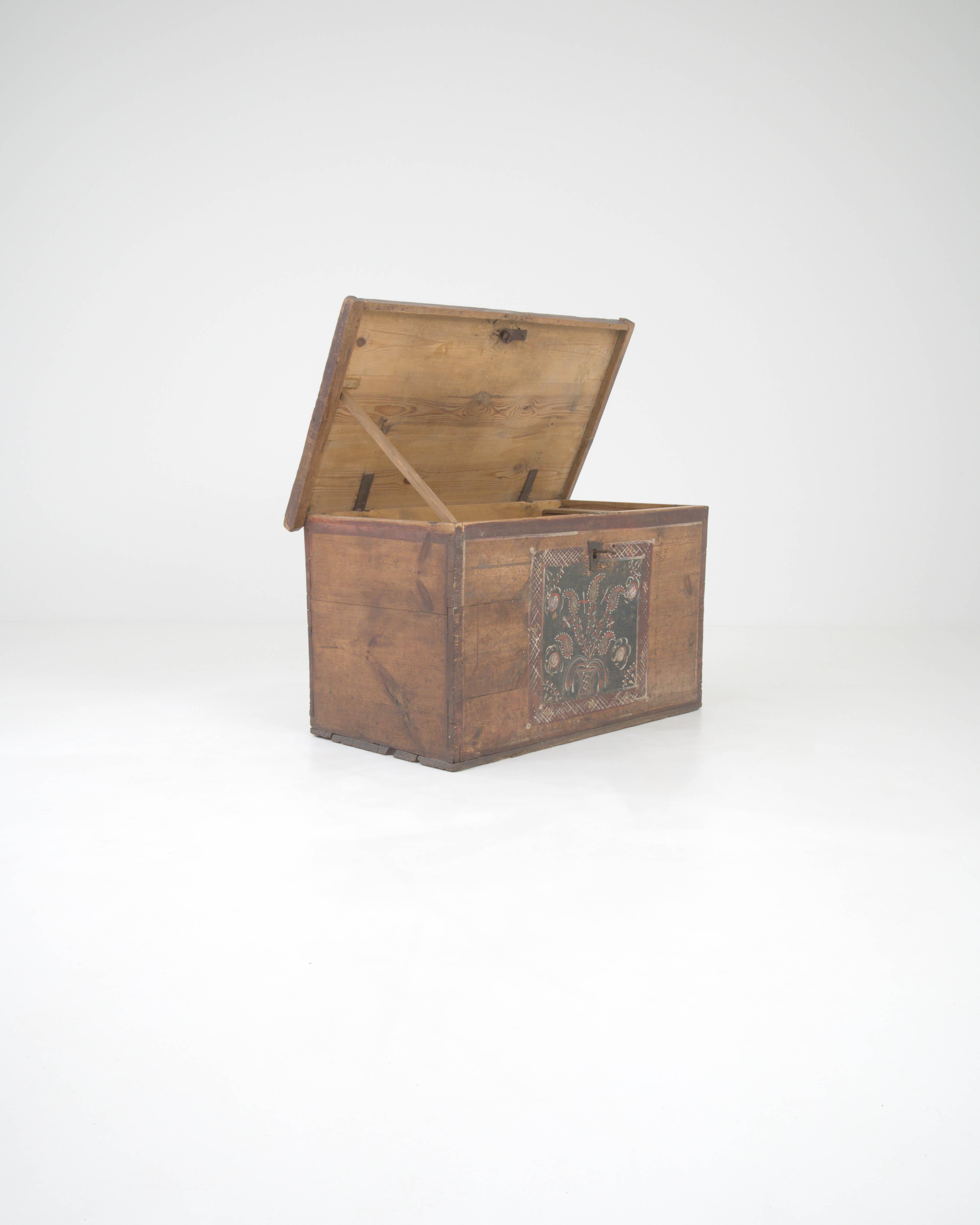 19th Century Central European Wooden Chest For Sale 2