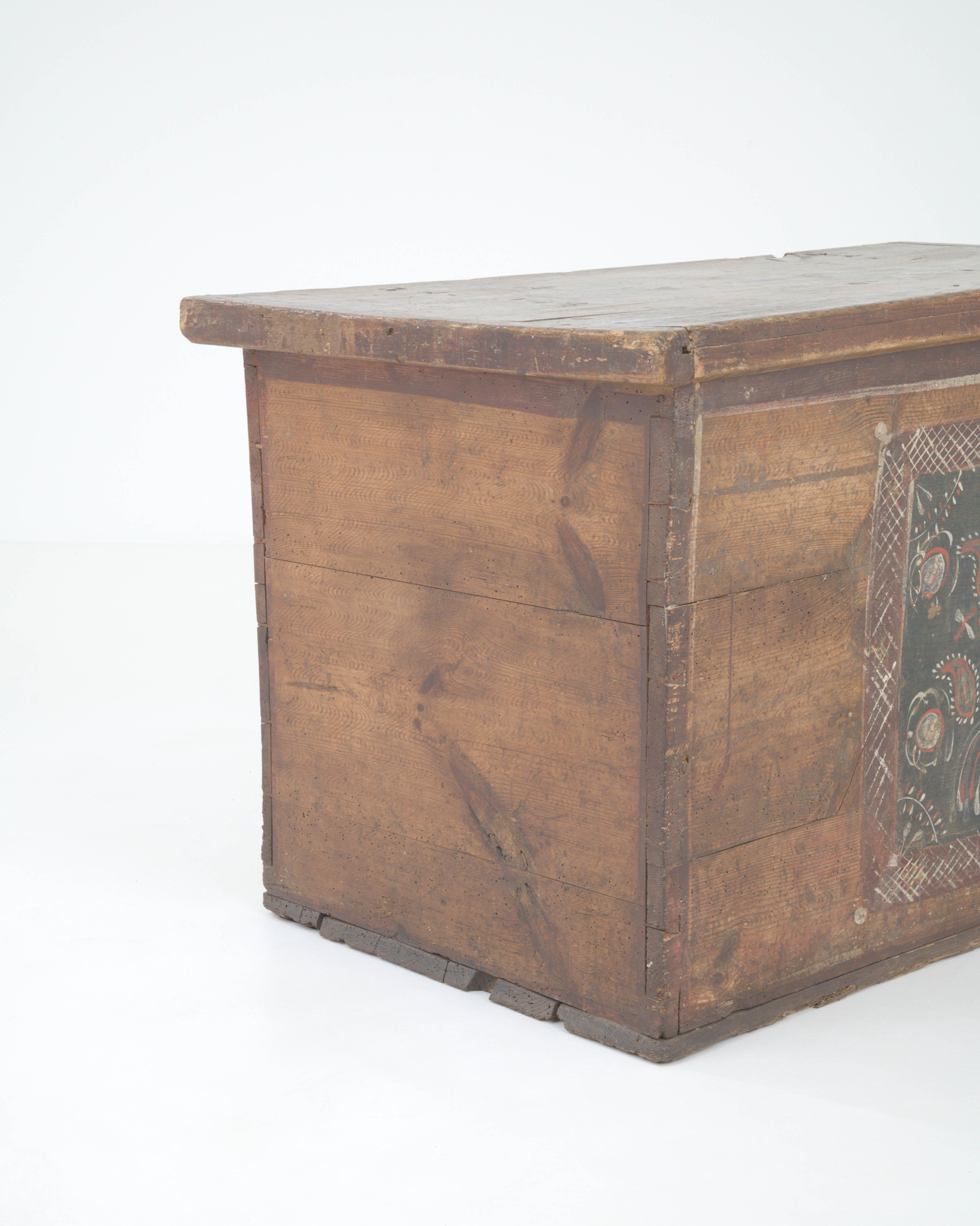 19th Century Central European Wooden Chest For Sale 4