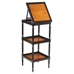 19th Century Ceylonese Ebony & Satinwood Etagère Table Stand
