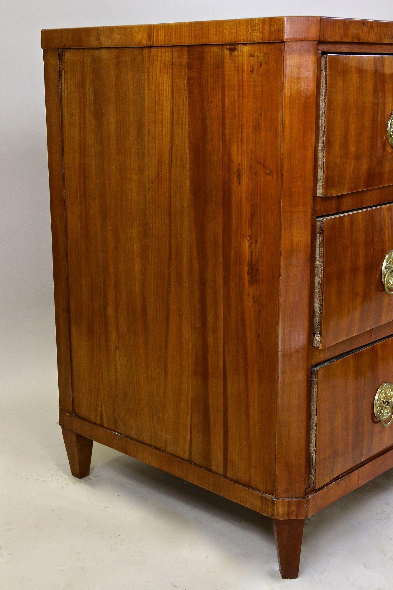 Commode Biedermeier en merisier du XIXe siècle, Autriche vers 1830 en vente 9