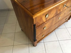 19th Century Chest of Drawers Biedermeier Era