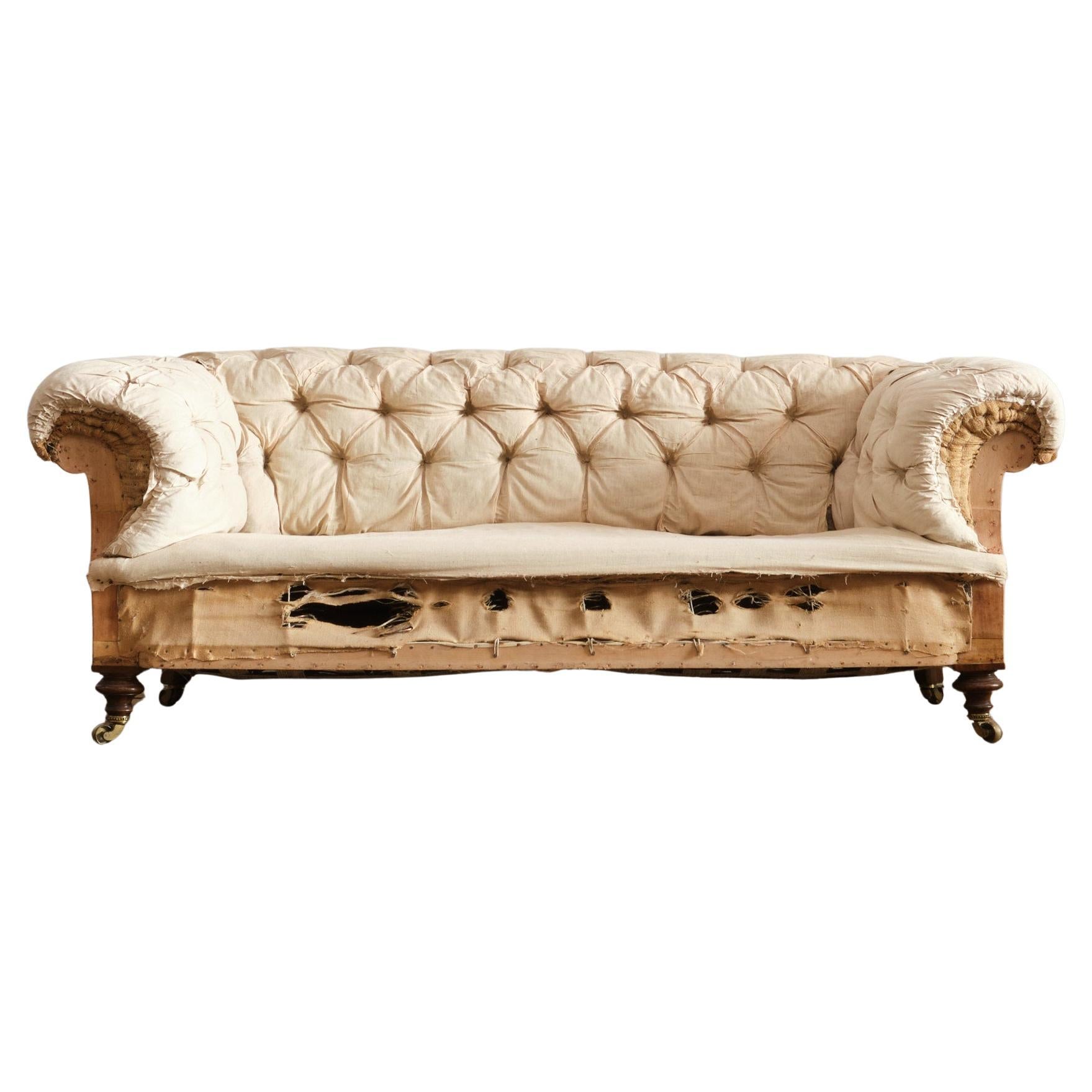 Chesterfield-Sofa aus dem 19. Jahrhundert