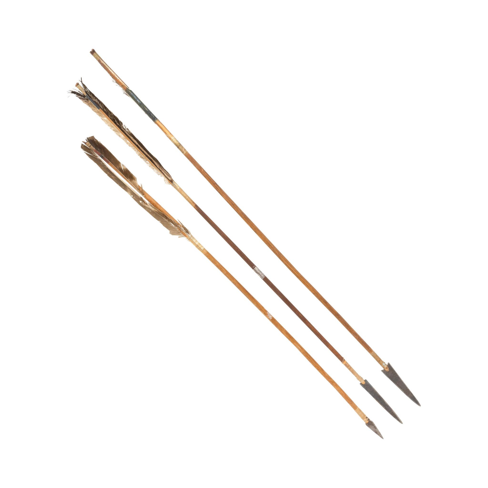 19th Century Cheyenne Bow and Arrows For Sale 2