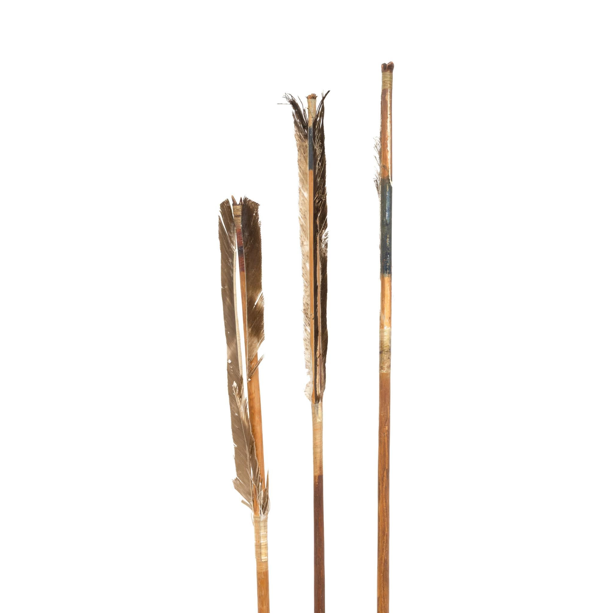 19th Century Cheyenne Bow and Arrows For Sale 3