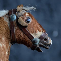 19th Century Childs Pull Along Toy