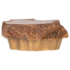 Tavolo con piano in Wood Wood e base contemporanea in ottone Repoussé del XIX secolo