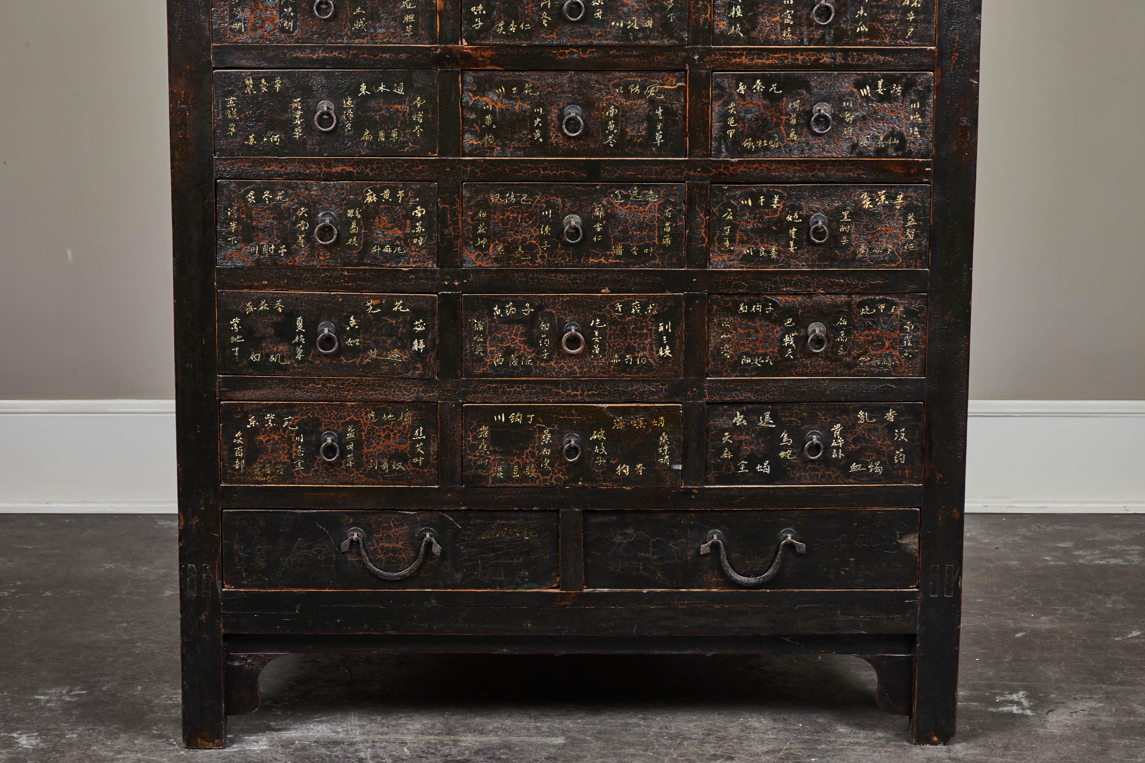 Wood 19th Century Chinese Apothecary Cabinet with Drawers For Sale