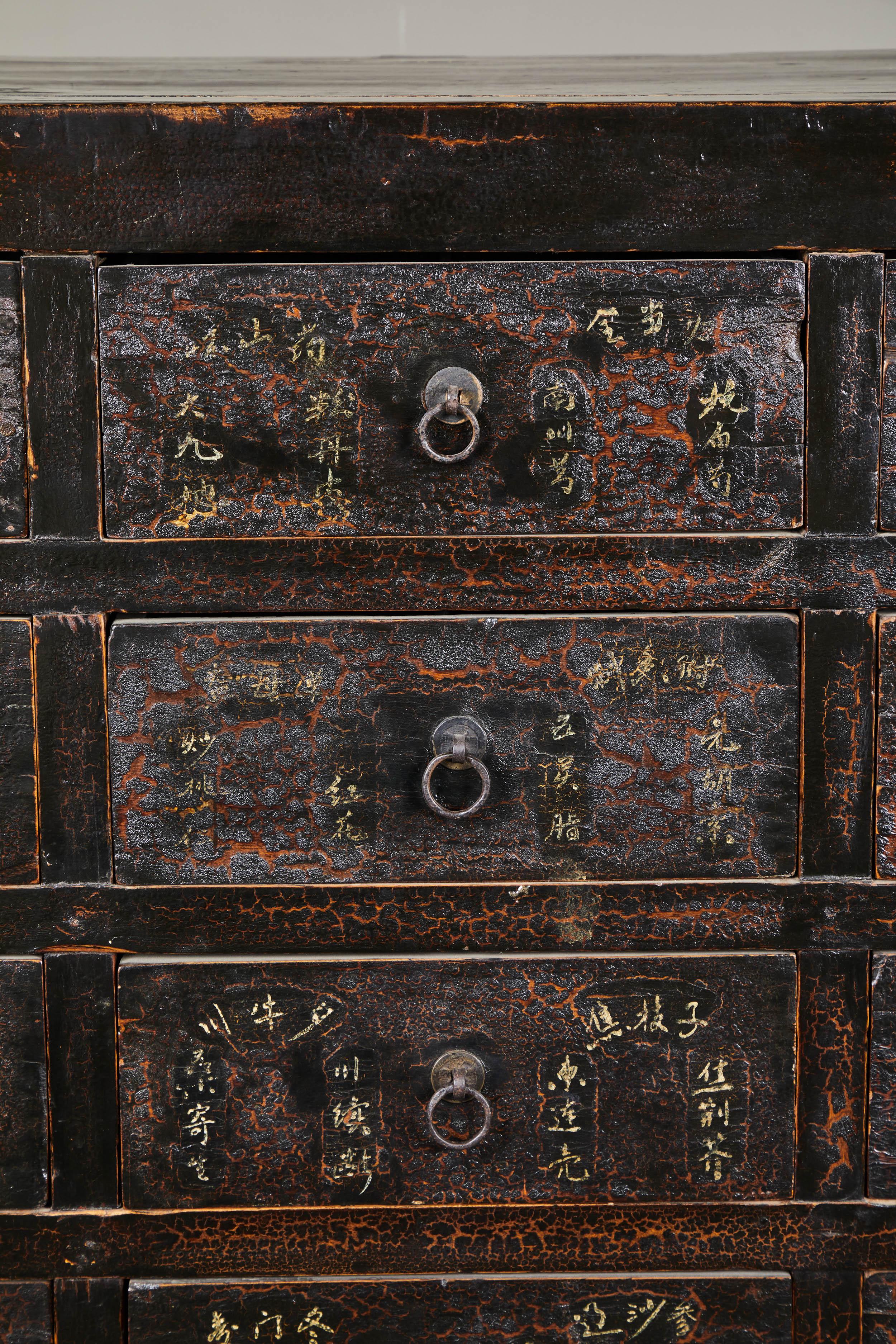 19th Century Chinese Apothecary Cabinet with Drawers For Sale 1