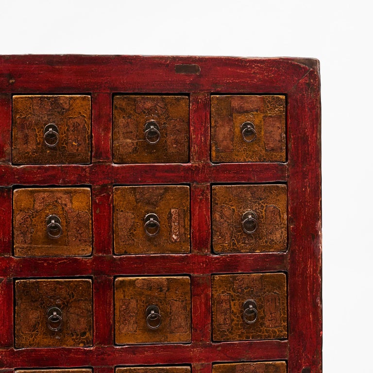 19th Century Chinese Apothecary Medicine Cabinet with 45 Drawers For Sale 2
