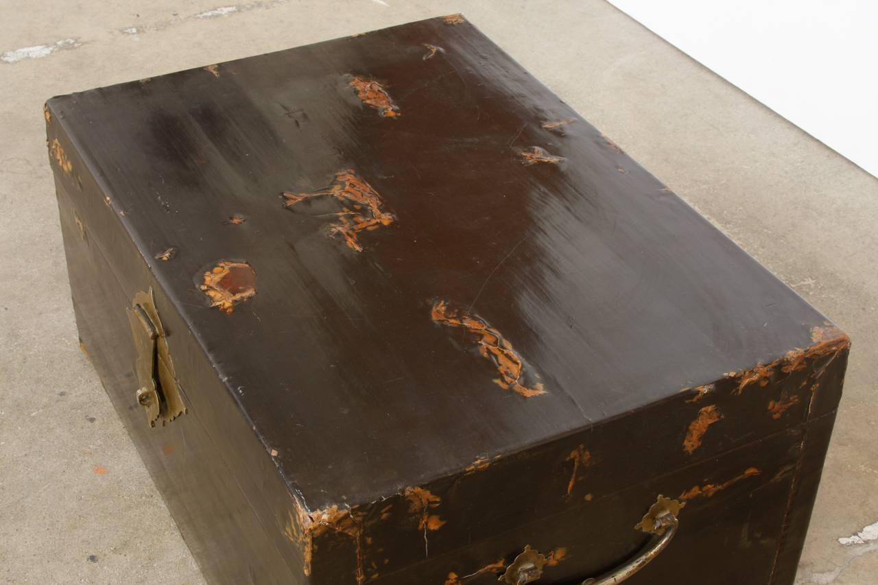 Brass 19th Century Chinese Black Lacquered Pigskin Trunk For Sale