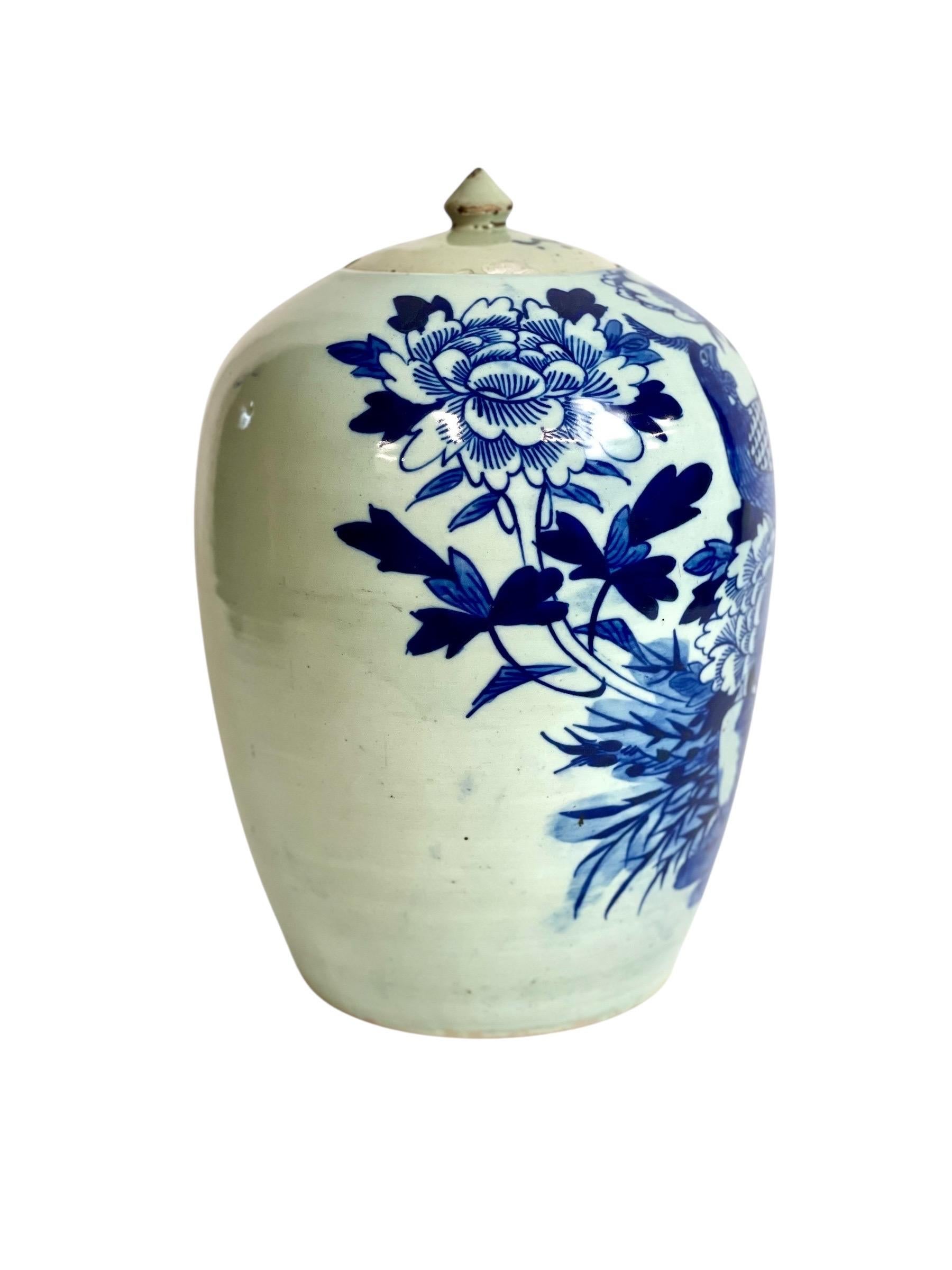 Jarra china de jengibre azul y blanca del siglo XIX con pavo real Qing en venta