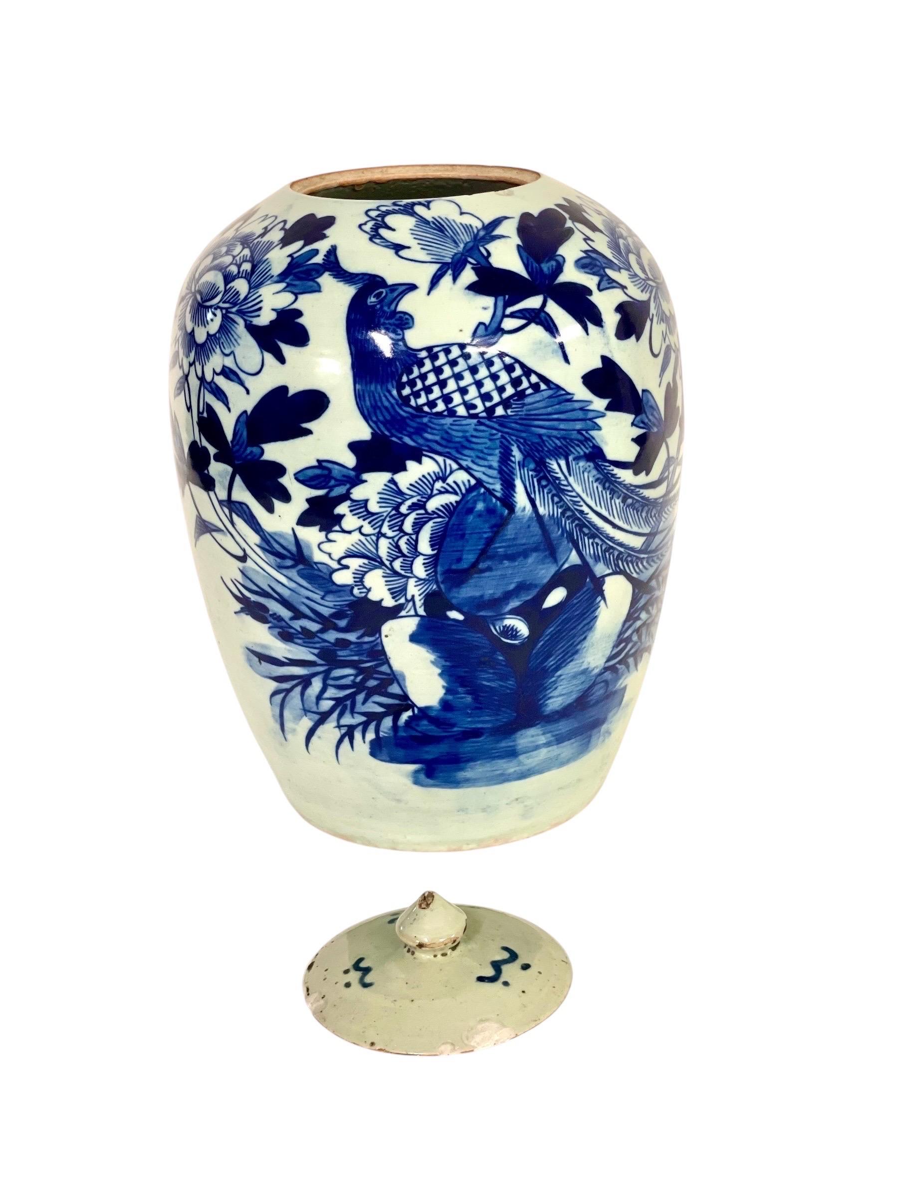 Jarra china de jengibre azul y blanca del siglo XIX con pavo real en Bueno estado para la venta en LA CIOTAT, FR
