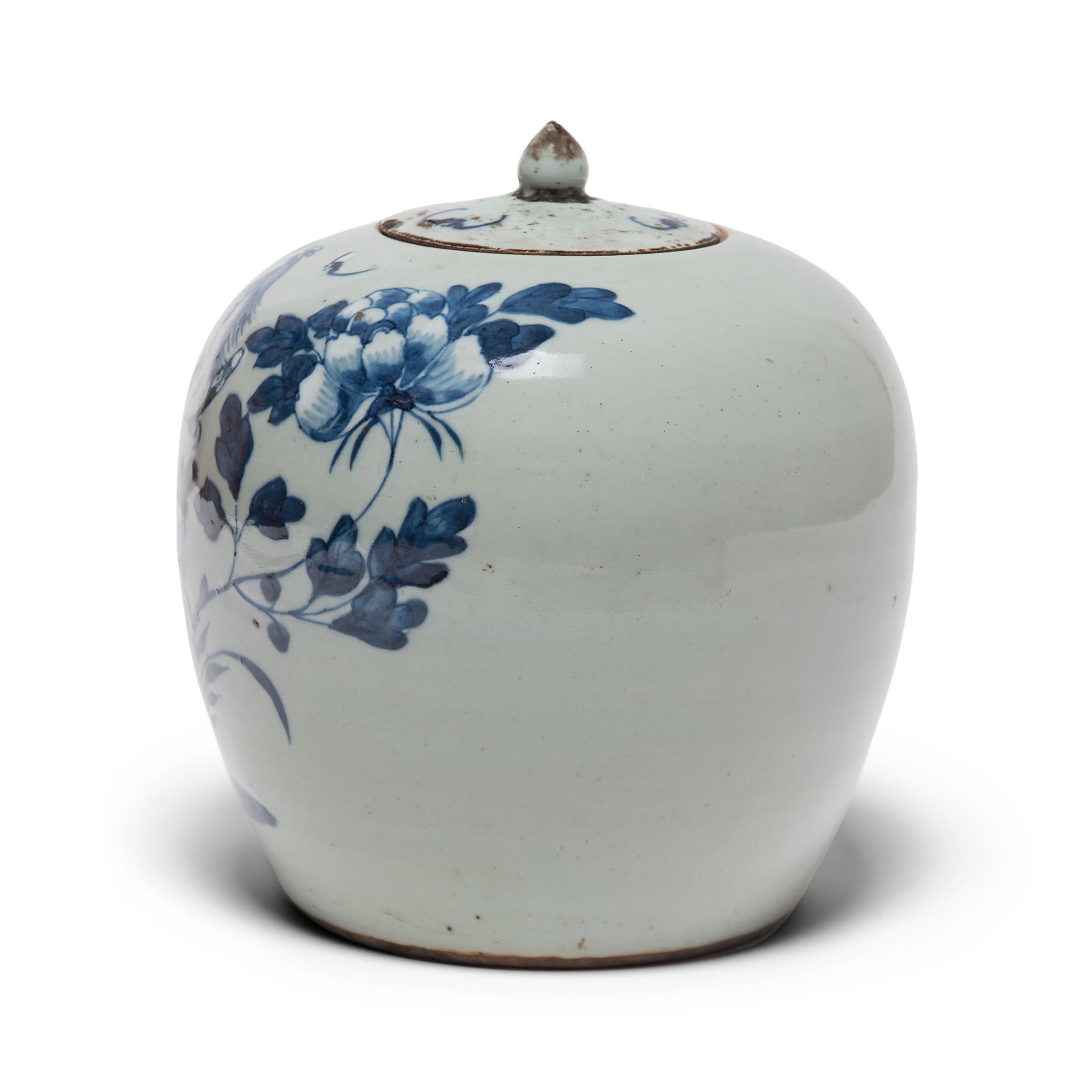 This 19th-century blue-and-white ginger jar is defined by its thin walls, round body, and delicate lid topped with a bud-form handle. Painted with expressive brushwork, the jar is festooned with peony blossoms, emblems of spring time and feminine