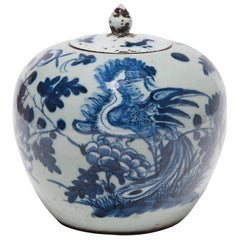 19th Century Chinese Blue and White Peony Jar