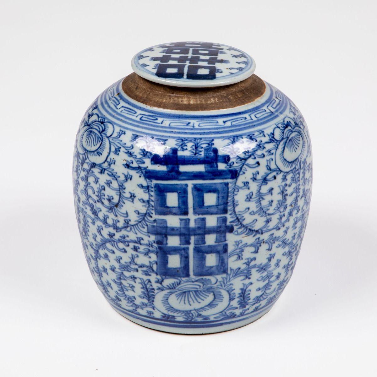 Porcellana cinese del XIX secolo in bianco e blu 