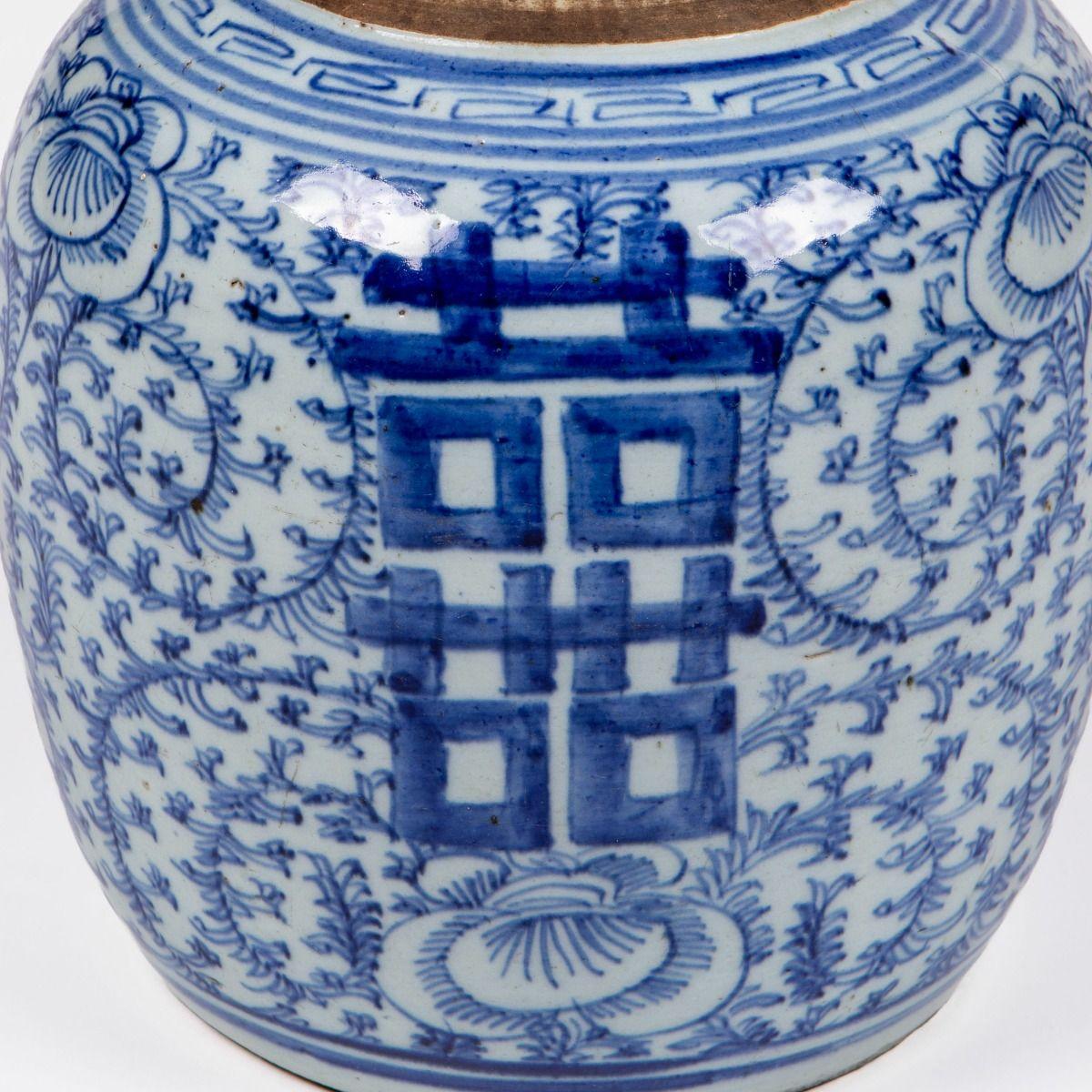 Porcellana cinese del XIX secolo in bianco e blu 