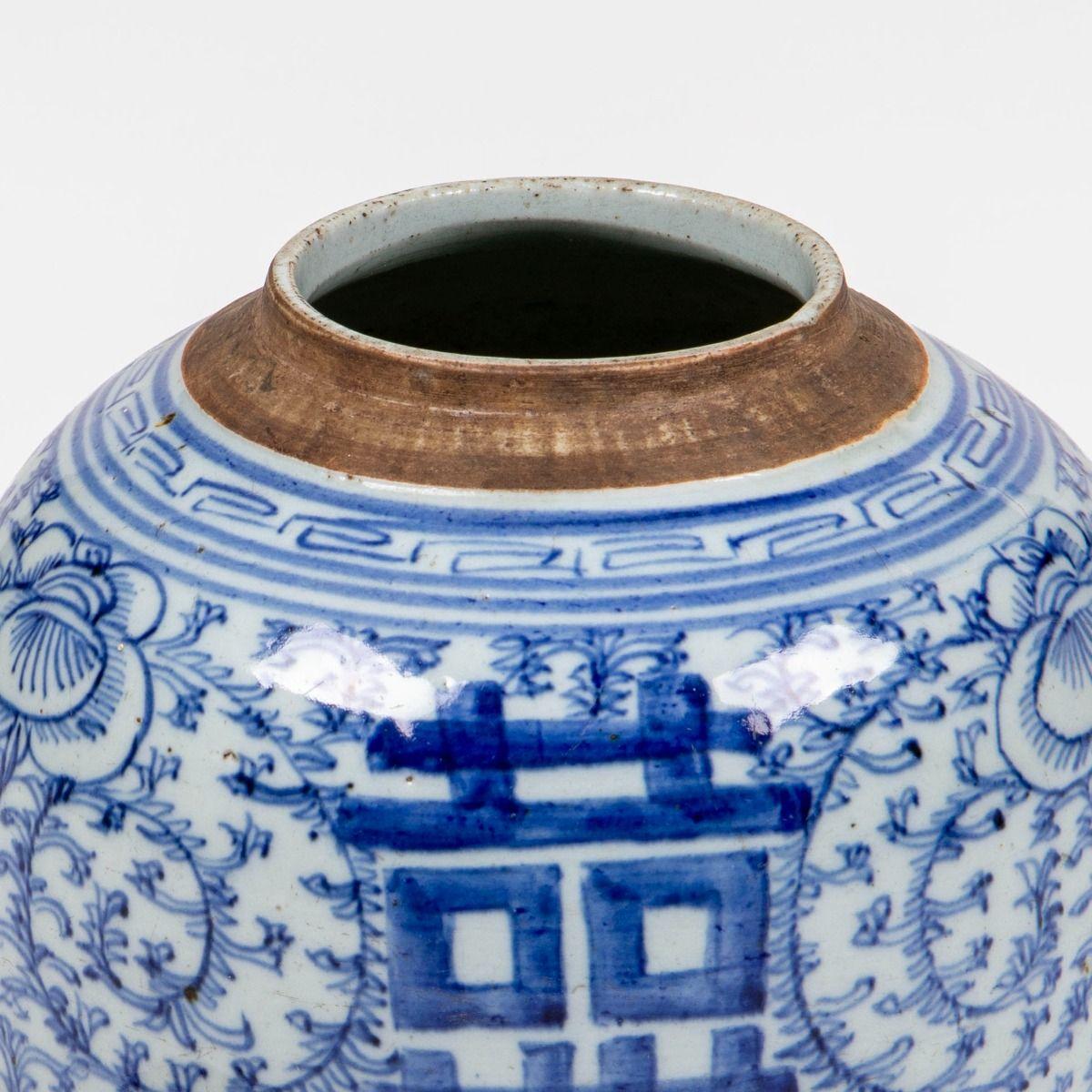 Porcellana cinese del XIX secolo in bianco e blu 