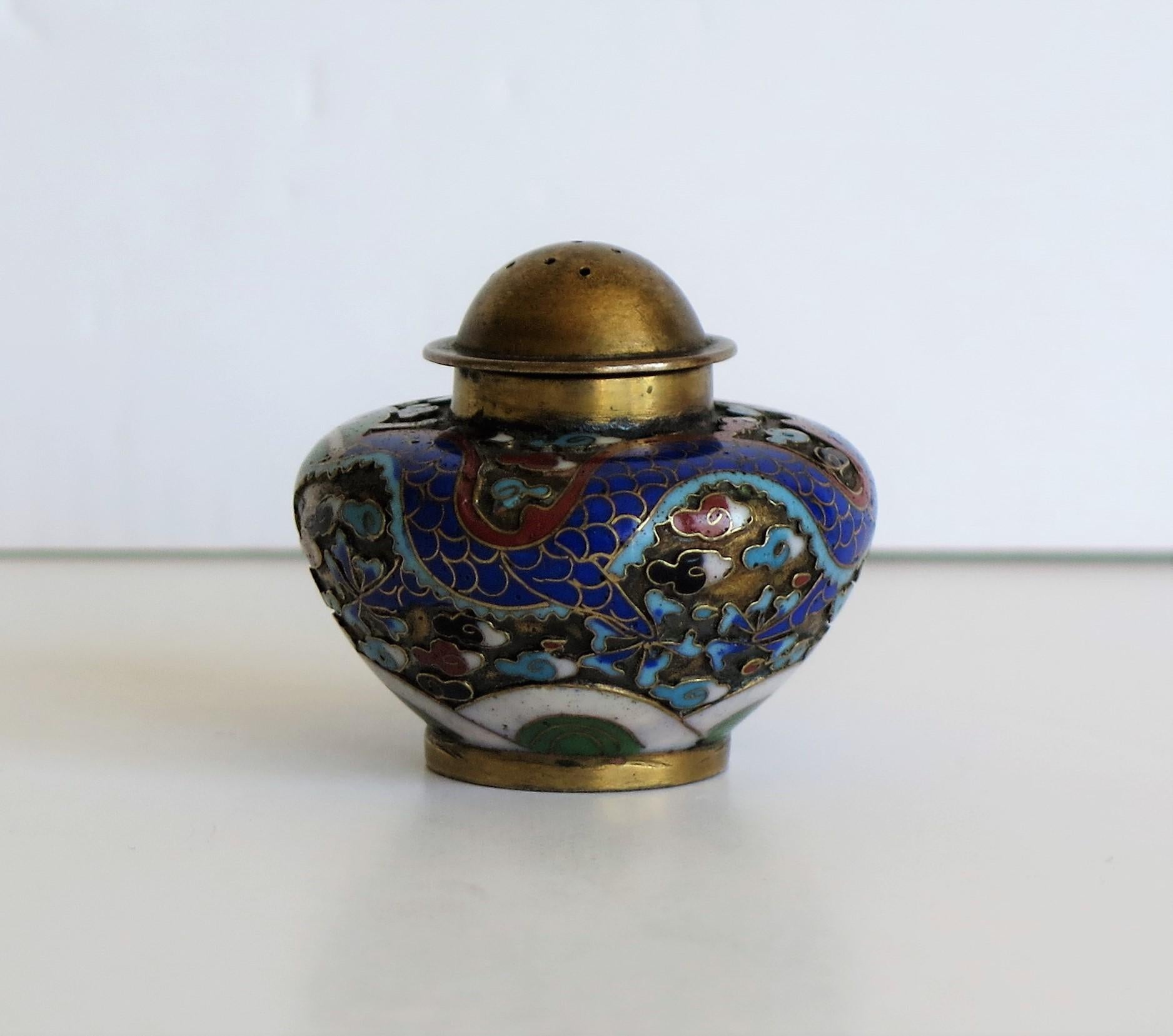 19th Century Chinese Cloisonné Pepper Pot with Dragon Decoration, Qing Dynasty 4
