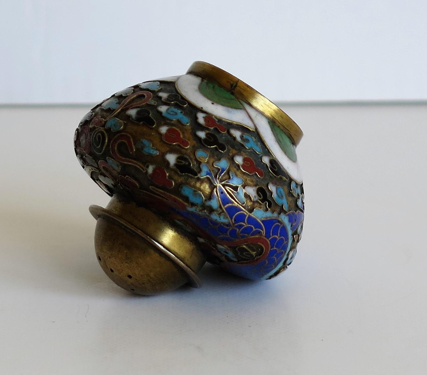 19th Century Chinese Cloisonné Pepper Pot with Dragon Decoration, Qing Dynasty 6