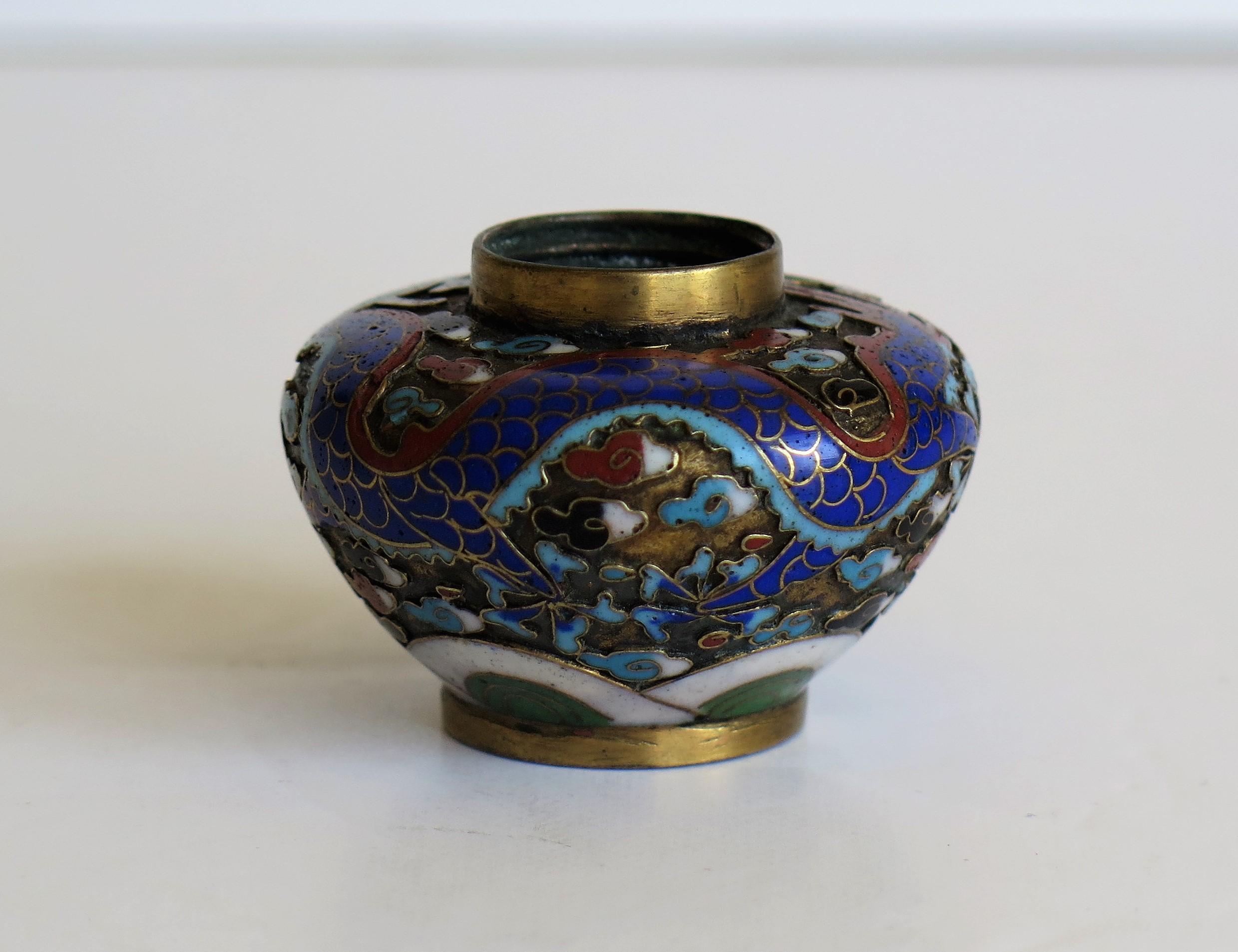 19th Century Chinese Cloisonné Pepper Pot with Dragon Decoration, Qing Dynasty 9
