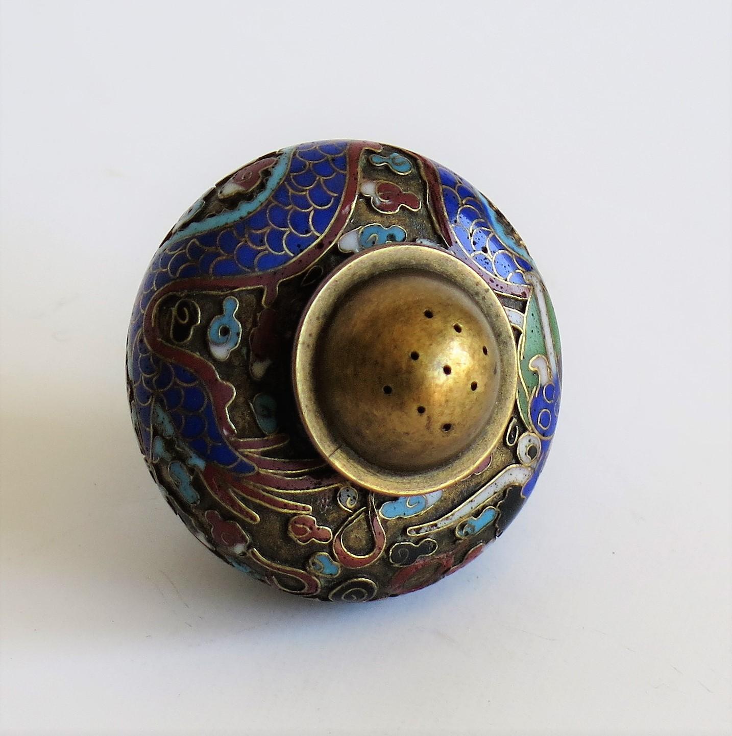 19th Century Chinese Cloisonné Pepper Pot with Dragon Decoration, Qing Dynasty 10