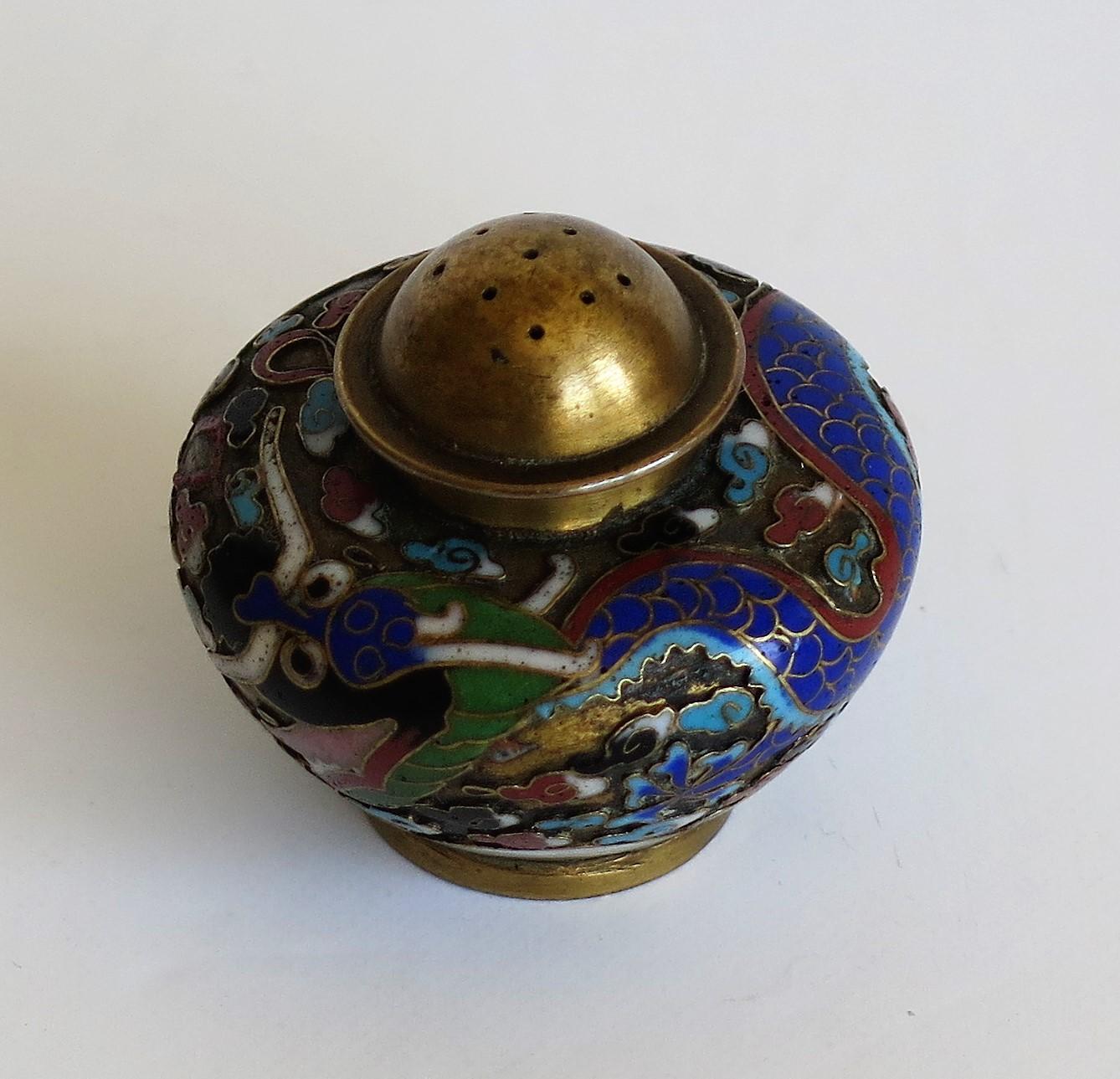 19th Century Chinese Cloisonné Pepper Pot with Dragon Decoration, Qing Dynasty 2