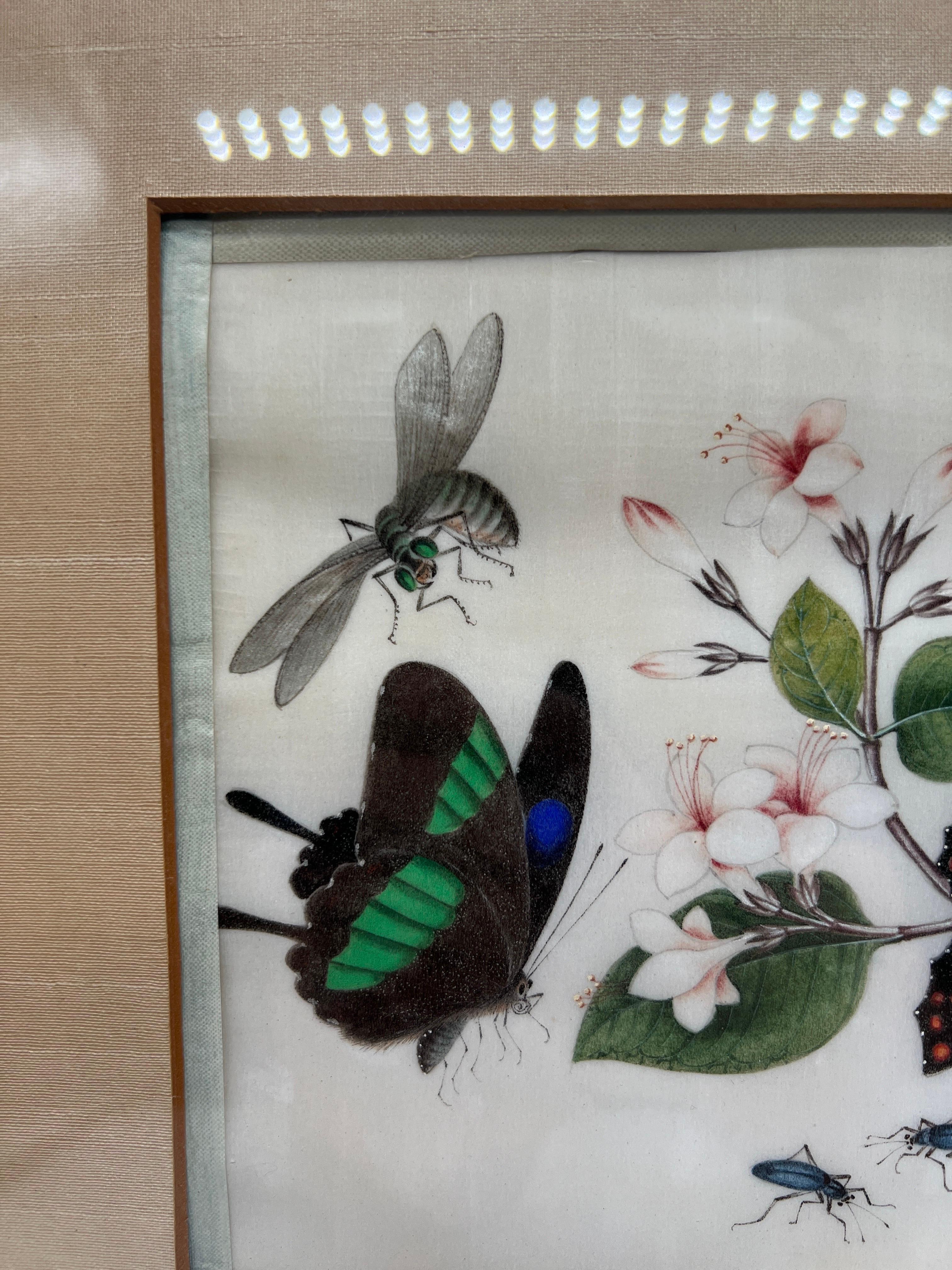 Canton, Chine, vers 1830. 

Une superbe et inhabituelle aquarelle à la moelle représentant des papillons et des insectes autour d'une branche d'arbre en fleurs. Non marqué. 