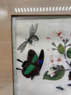 19th Century Chinese Export Butterfly & Insect Pith Watercolor