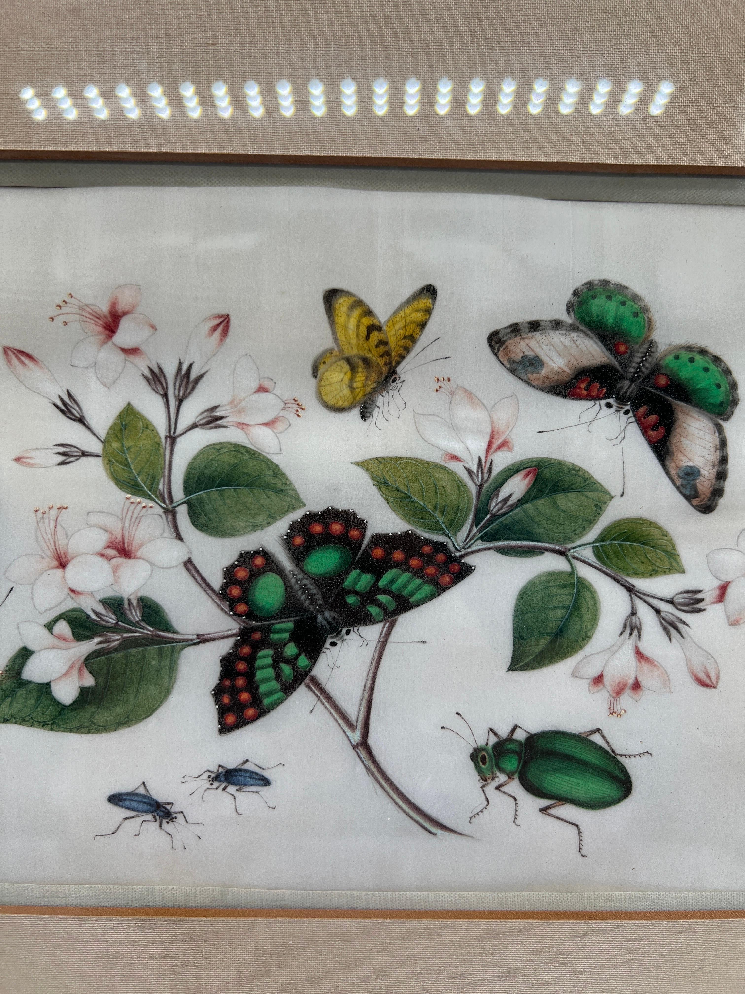 Butterfly & Insect Pith, aquarelle d'exportation chinoise du 19e siècle  Bon état - En vente à Atlanta, GA