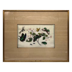 19th Century Chinese Export Butterfly & Insect Pith Watercolor