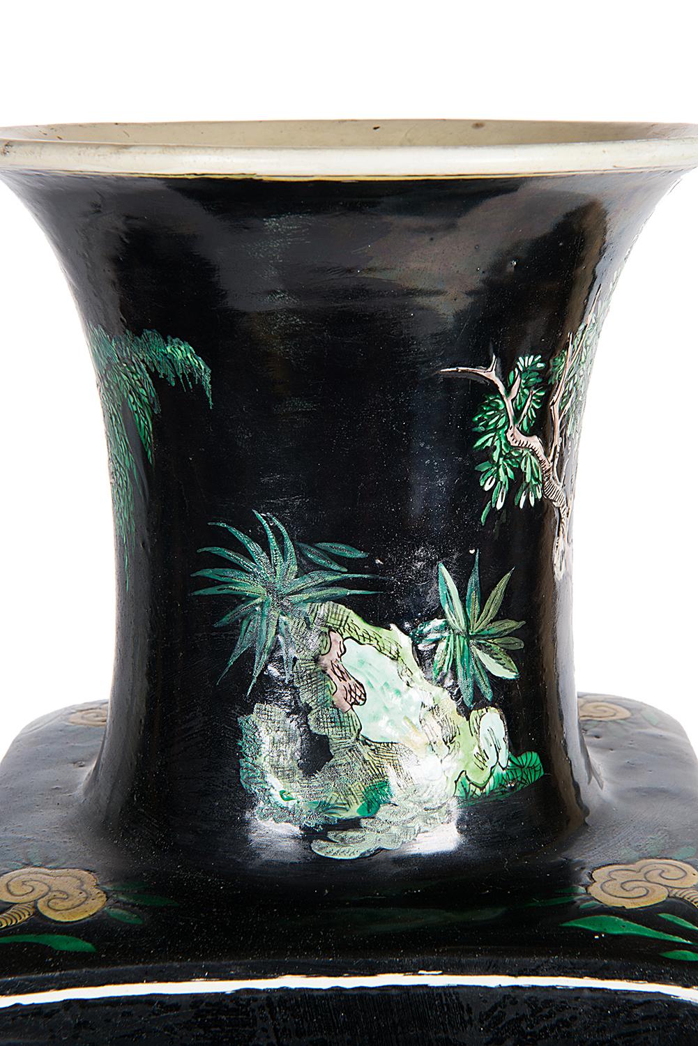19th Century Chinese Famille Noire Vase 5