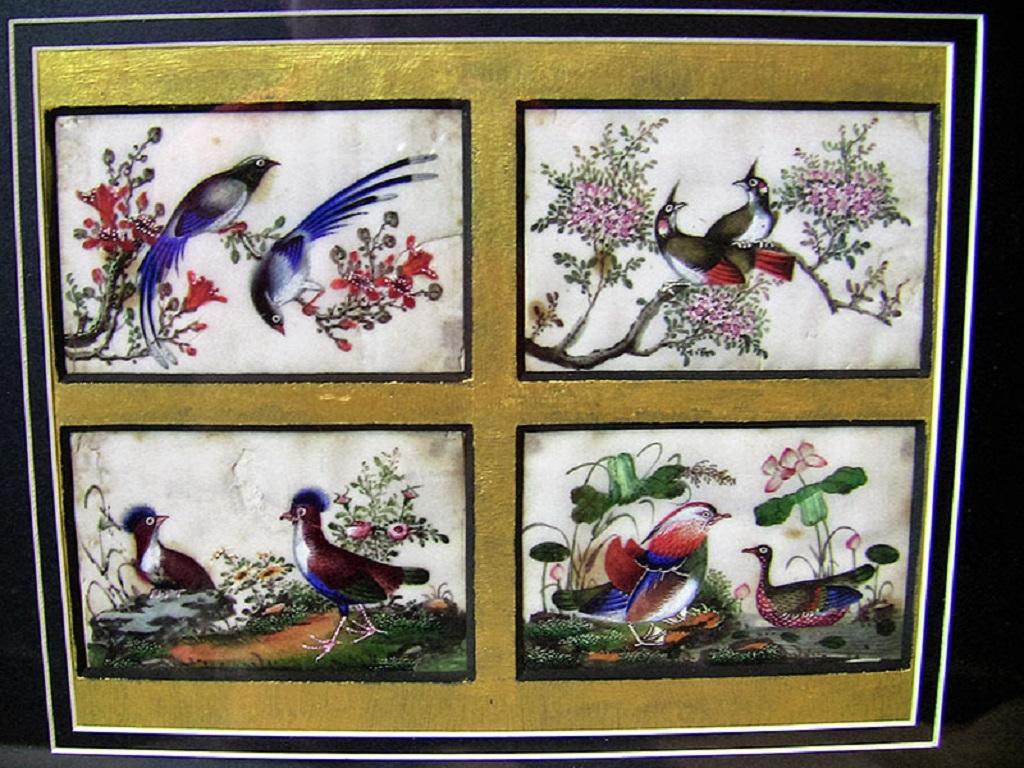PRESENTING A LOVELY framed 19C Chinese Hand painted Silk Collage of Exotic Birds.

Rare collage of Four Chinese hand-painted silk panels of exotic birds and birds of paradise, from circa 1850-70.

THE PANELS DEPICT:

(1) The first panel features two
