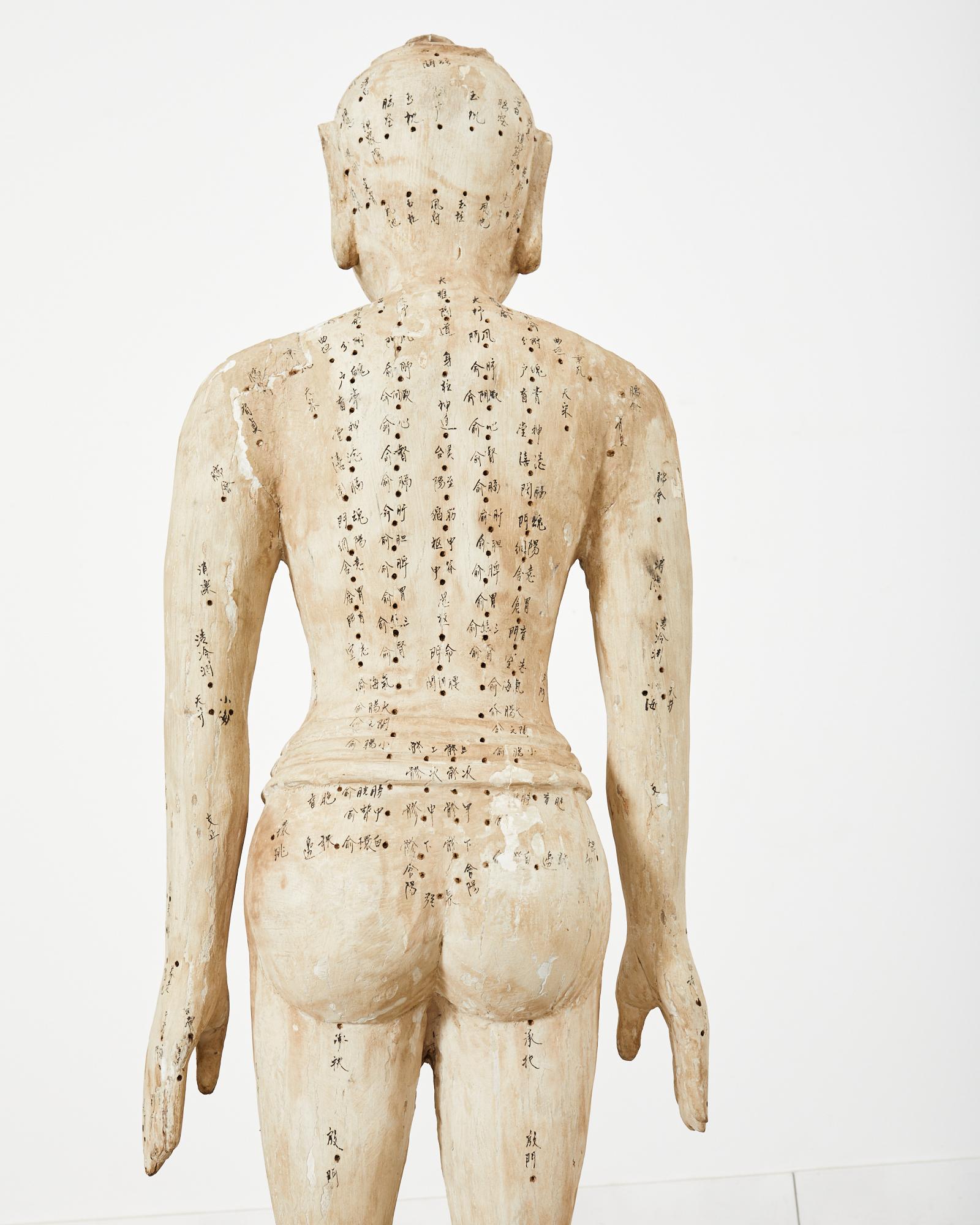 Chinesische lebensgroße geschnitzte Acupuncture-Skulptur-Figur aus dem 19. Jahrhundert im Angebot 12
