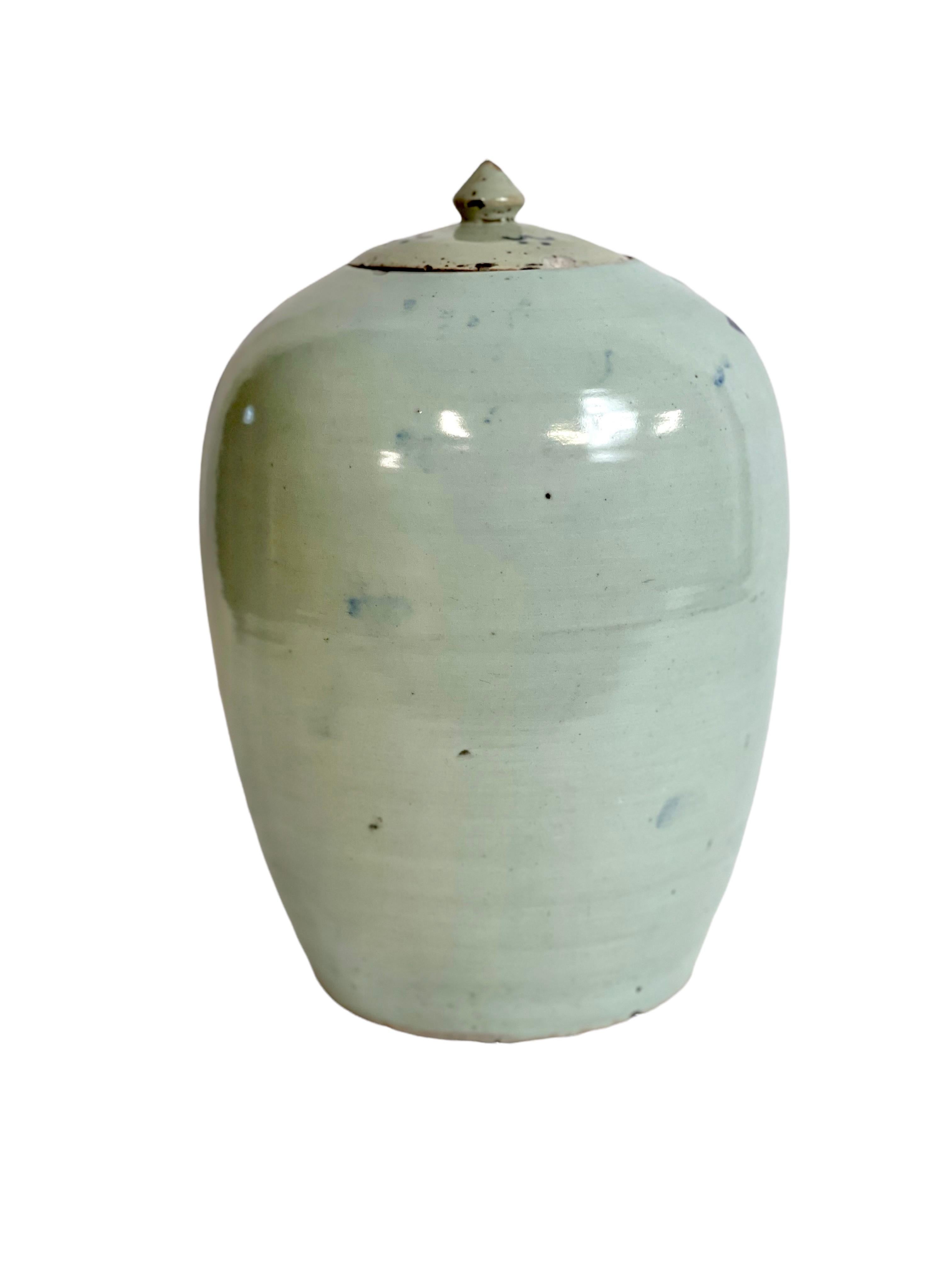 Vintage Large Chinese Porcelain Ginger Jar  For Sale 3