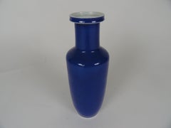 19th Century Chinese Powder Blue Vase
