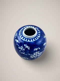 19th Century Chinese 'Prunus' Ginger Jar Blue and White Porcelain