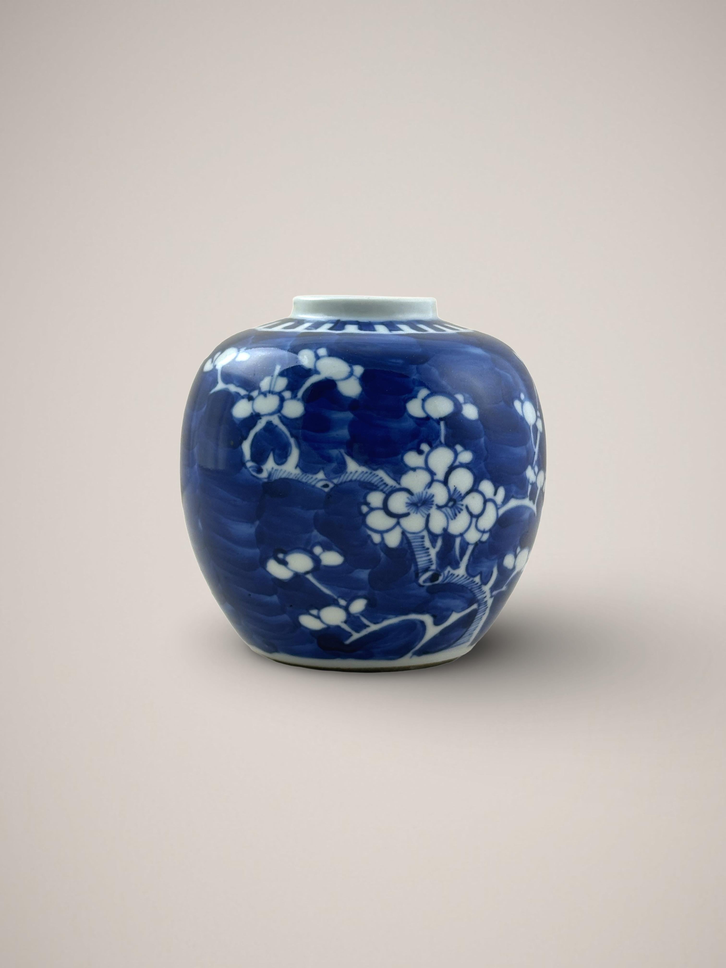 Ming 19th Century Chinese 'Prunus' Ginger Jar Blue and White Porcelain 