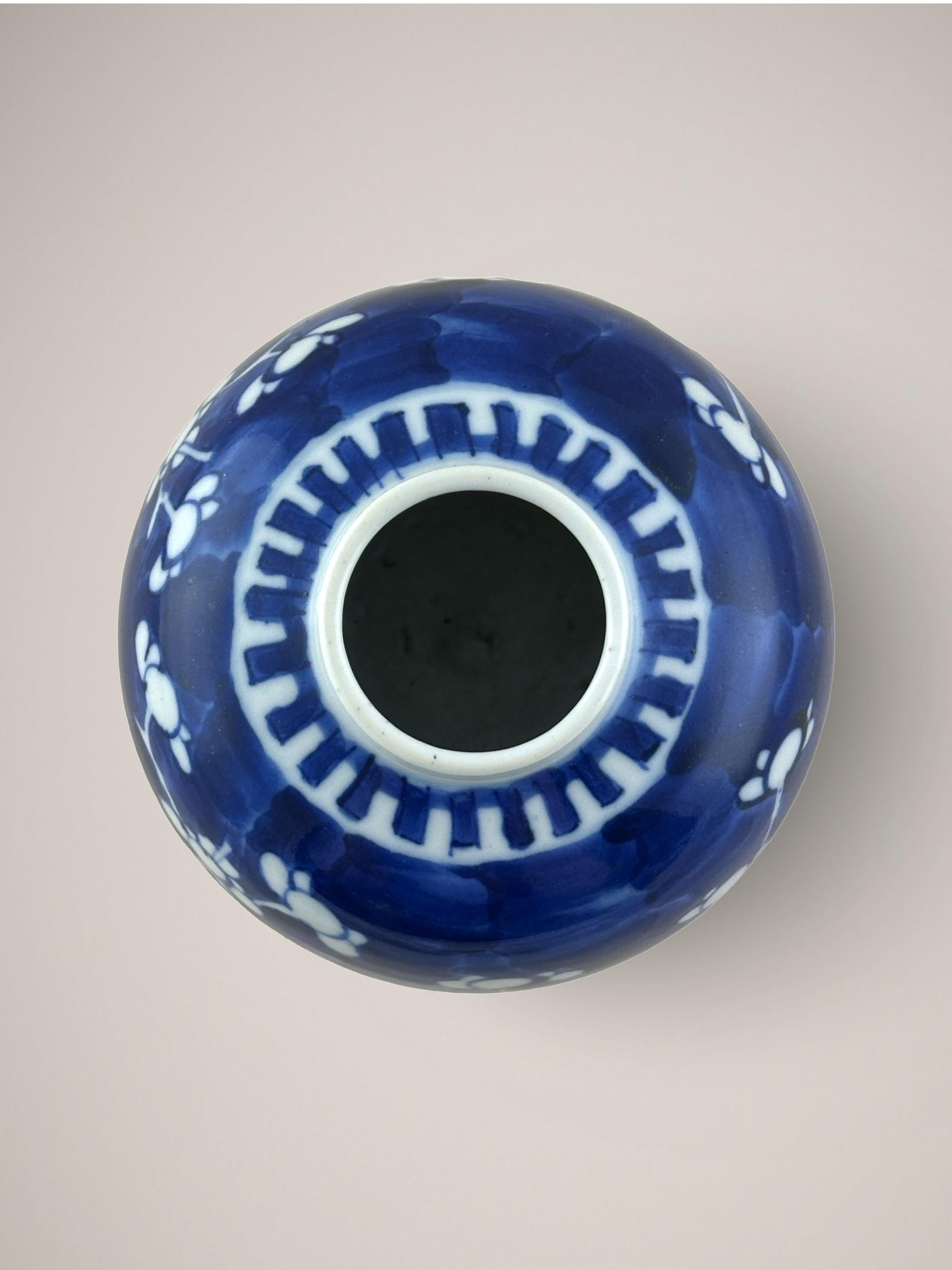 Glazed 19th Century Chinese 'Prunus' Ginger Jar Blue and White Porcelain