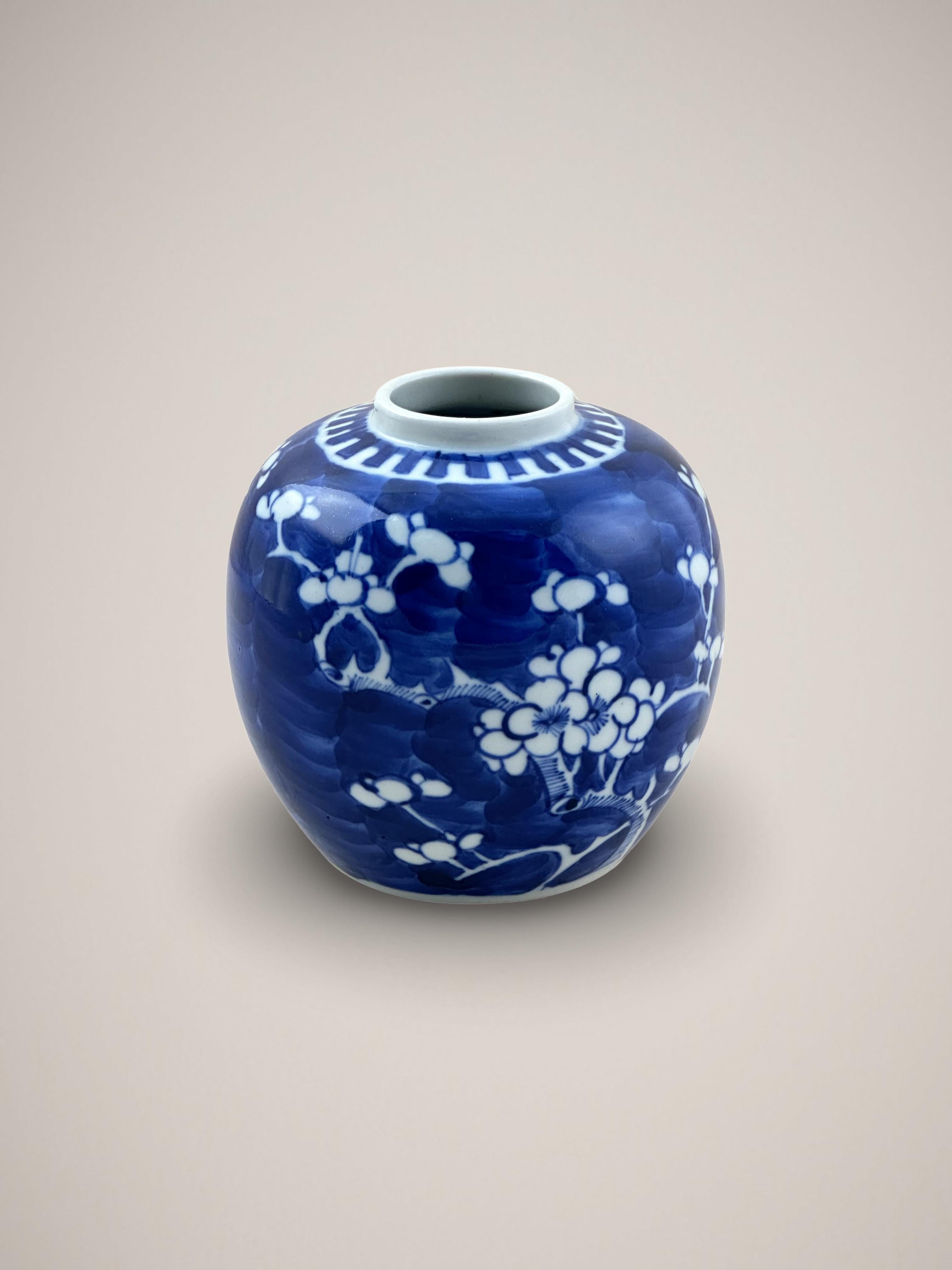 19th Century Chinese 'Prunus' Ginger Jar Blue and White Porcelain  In Good Condition In Glasgow, GB