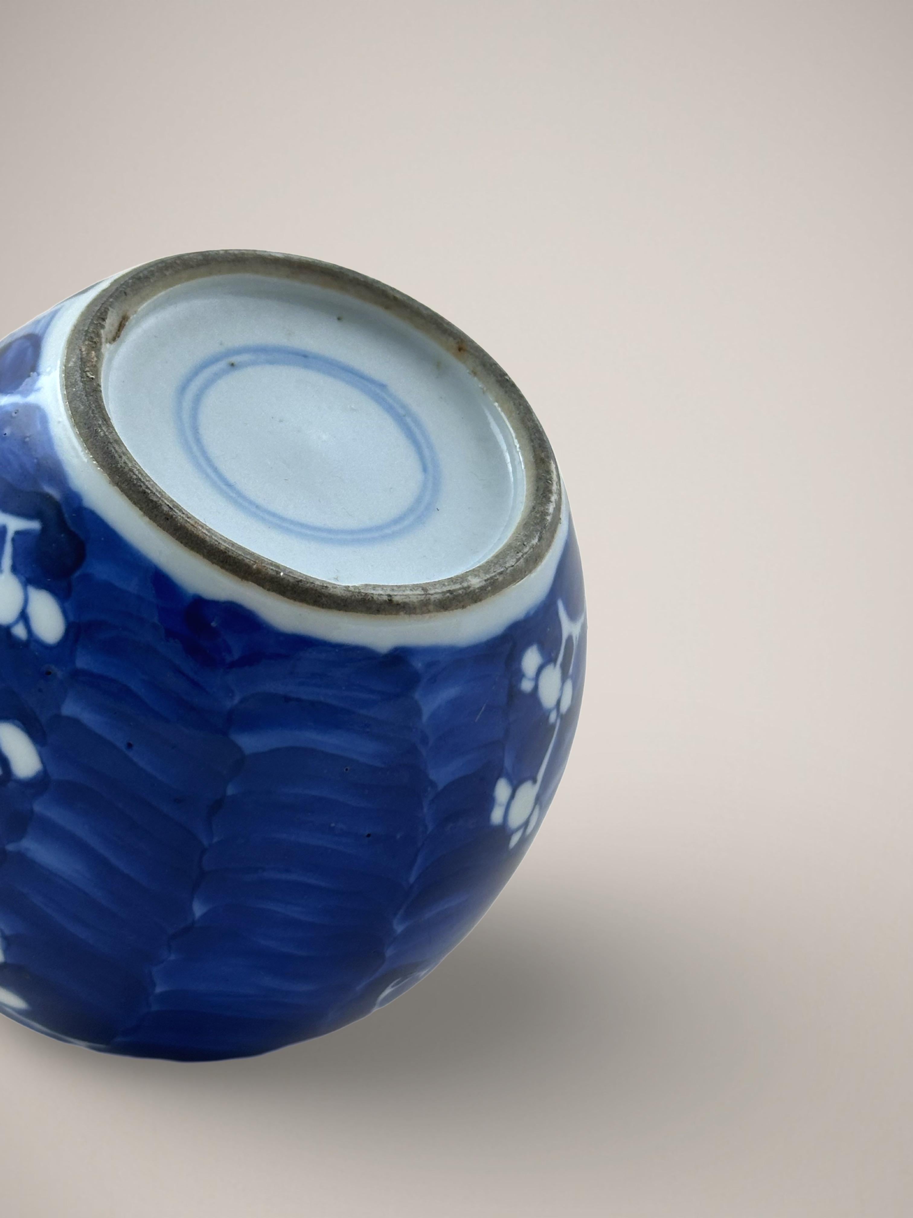 Enamel 19th Century Chinese 'Prunus' Ginger Jar Blue and White Porcelain