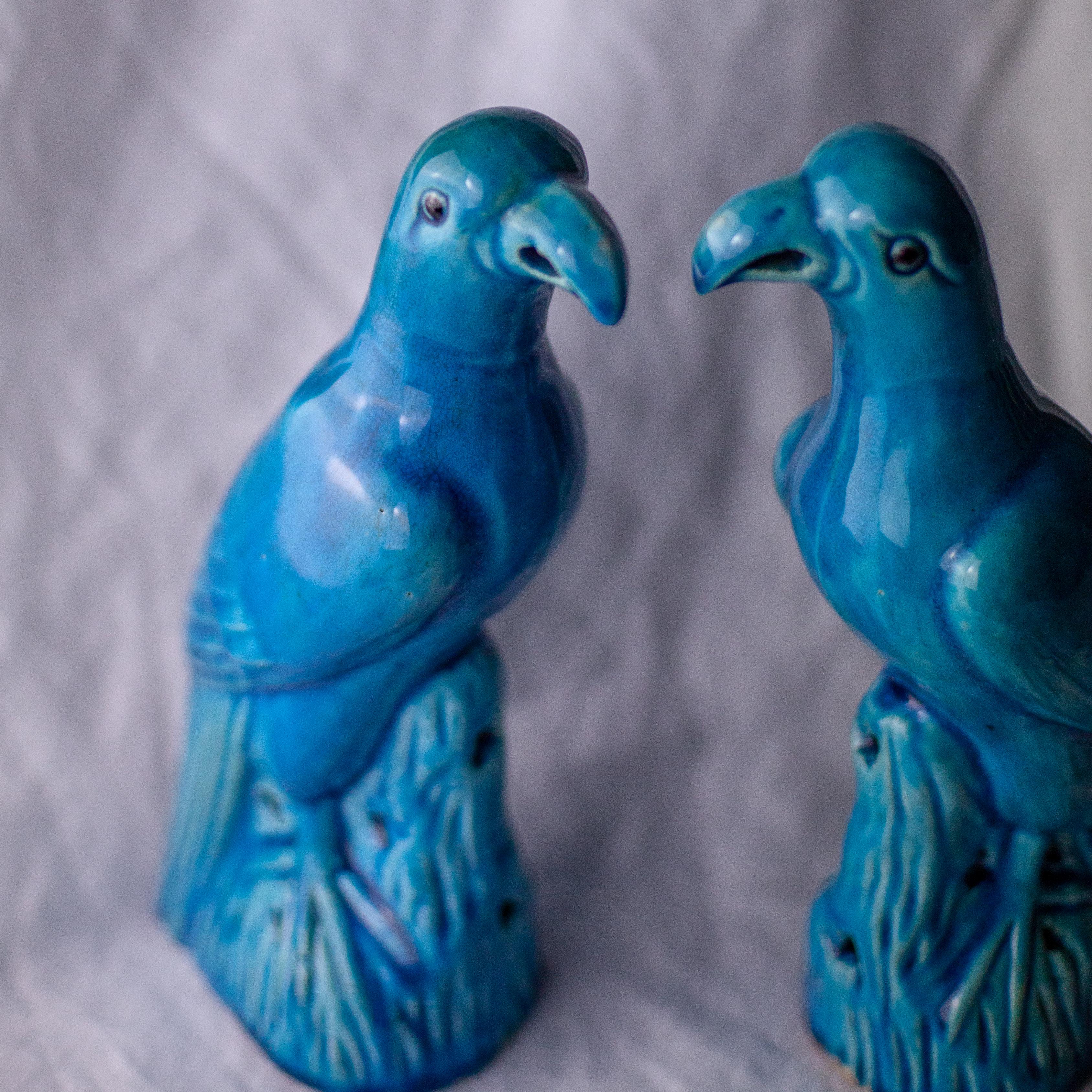 19th Century Chinese Qing Dynasty Turquoise Glazed Parrots In Good Condition For Sale In Bloomfield Hills, MI