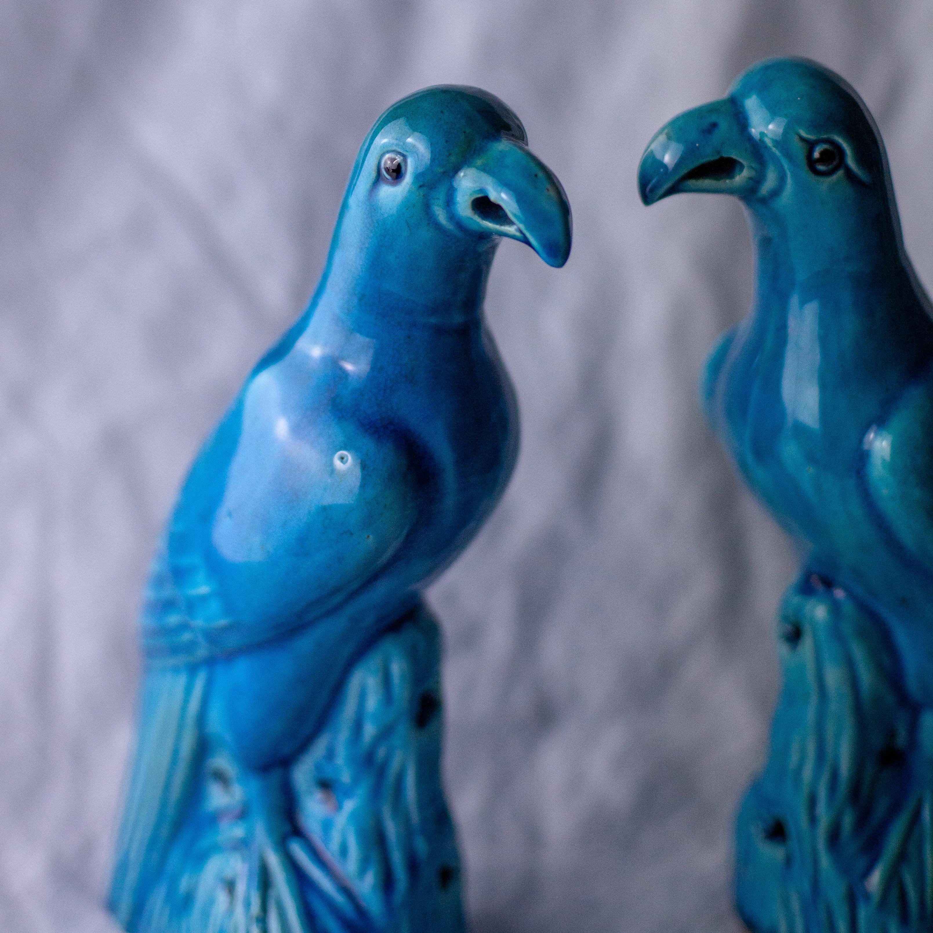 19th Century Chinese Qing Dynasty Turquoise Glazed Parrots For Sale 1