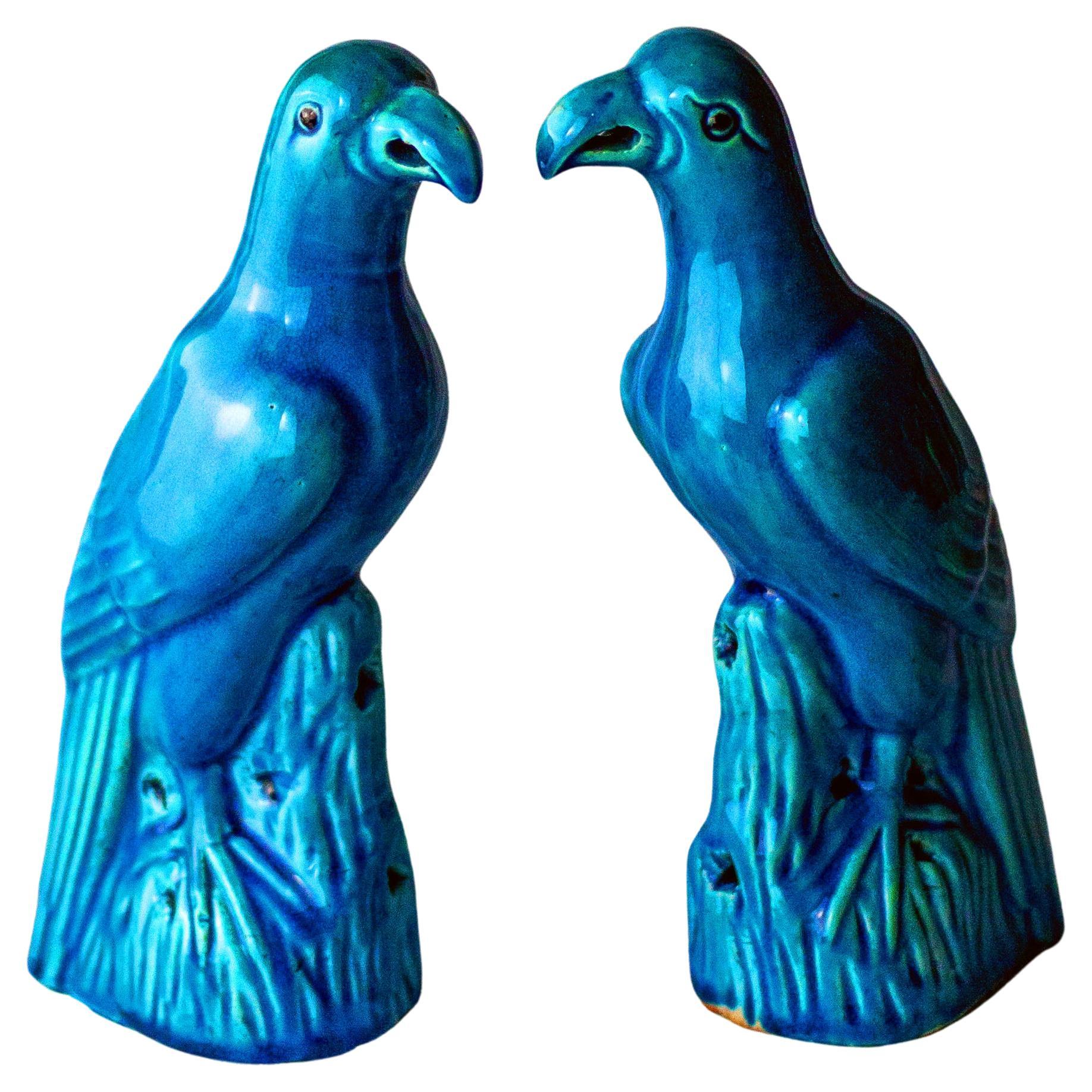 19th Century Chinese Qing Dynasty Turquoise Glazed Parrots For Sale