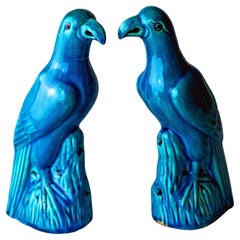 Perroquets émaillés turquoise de la dynastie chinoise Qing du 19e siècle