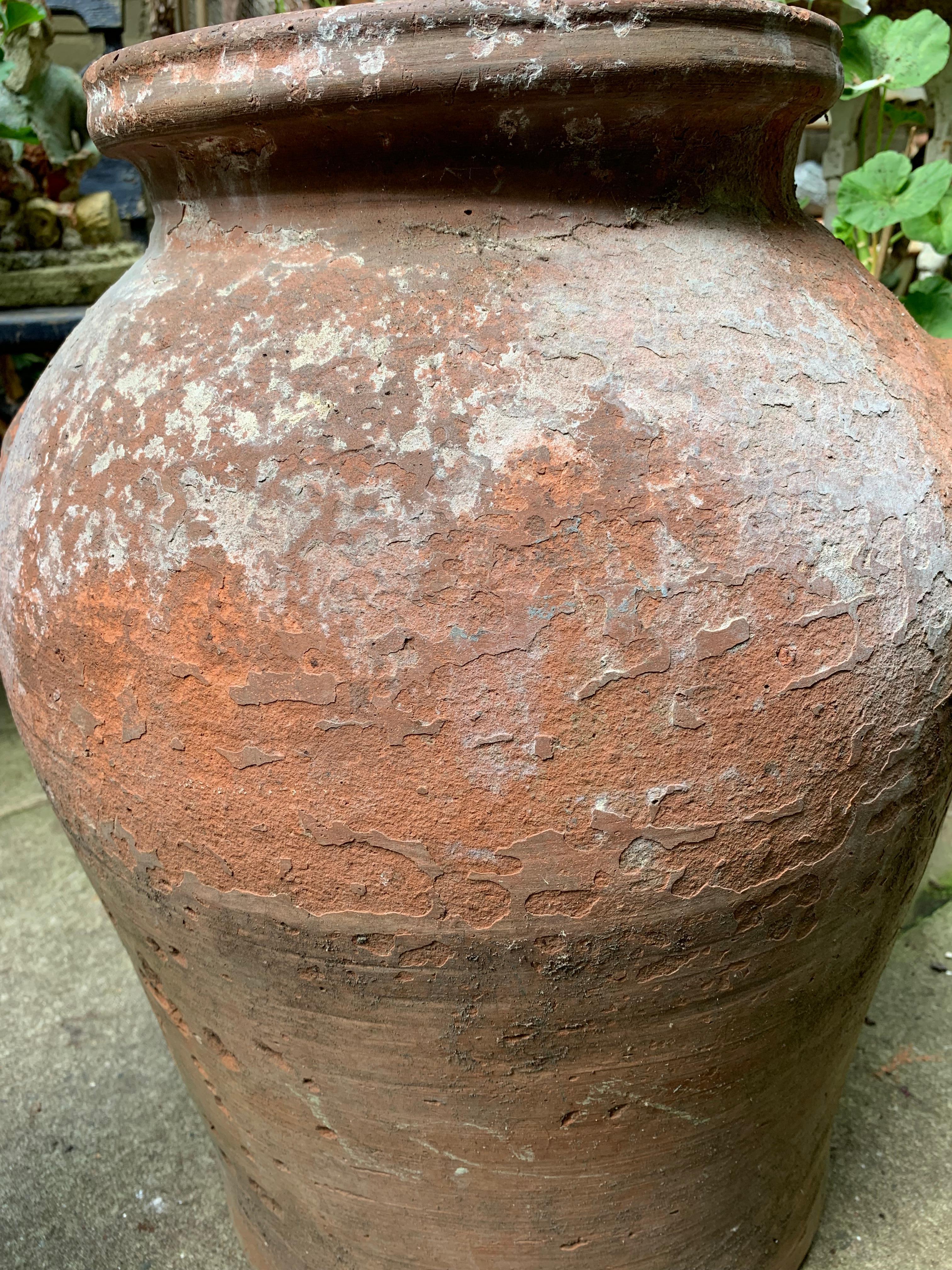 Esportazione cinese Vaso di terracotta cinese del XIX secolo. in vendita
