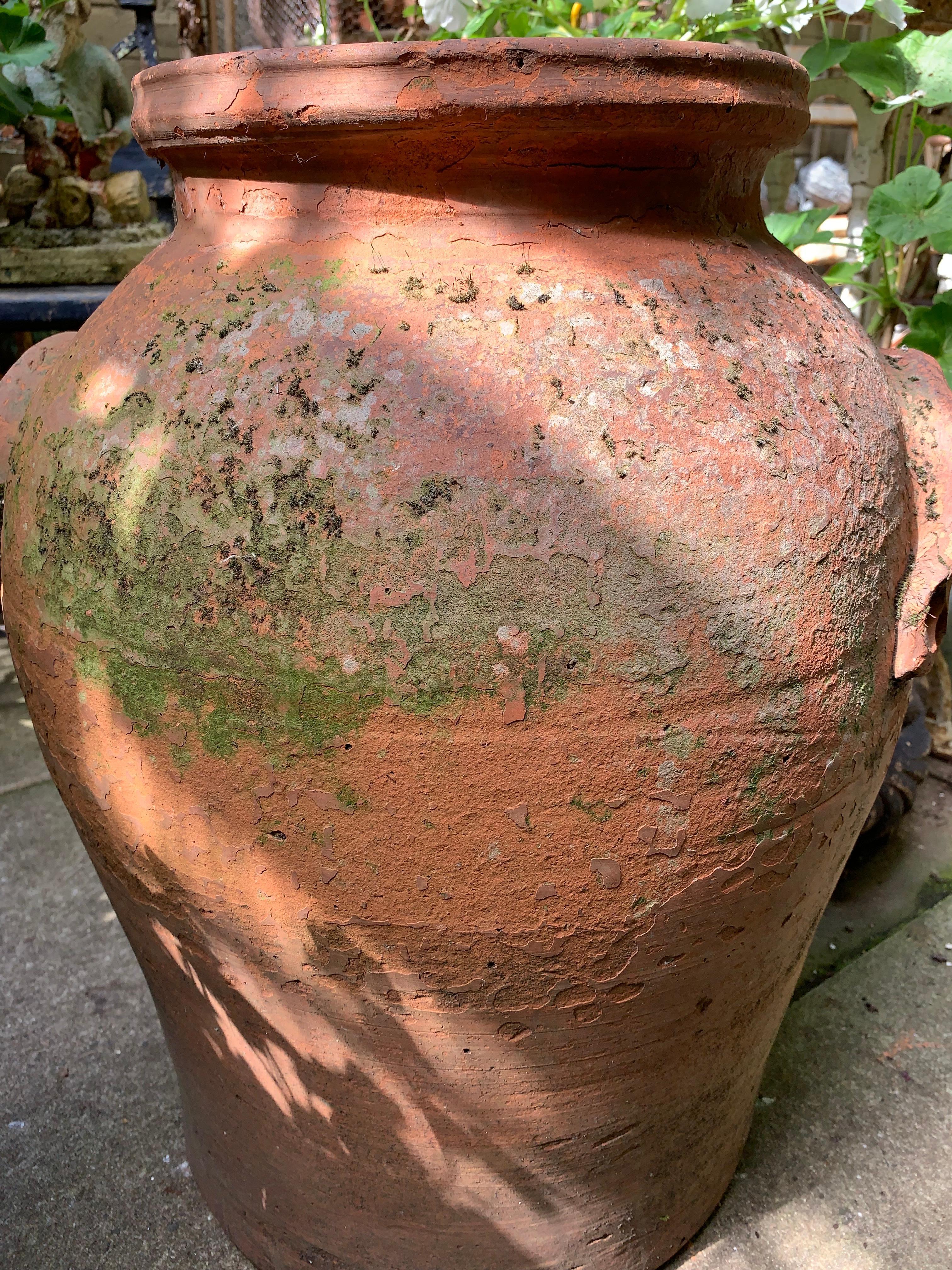Fine XIX secolo Vaso di terracotta cinese del XIX secolo. in vendita