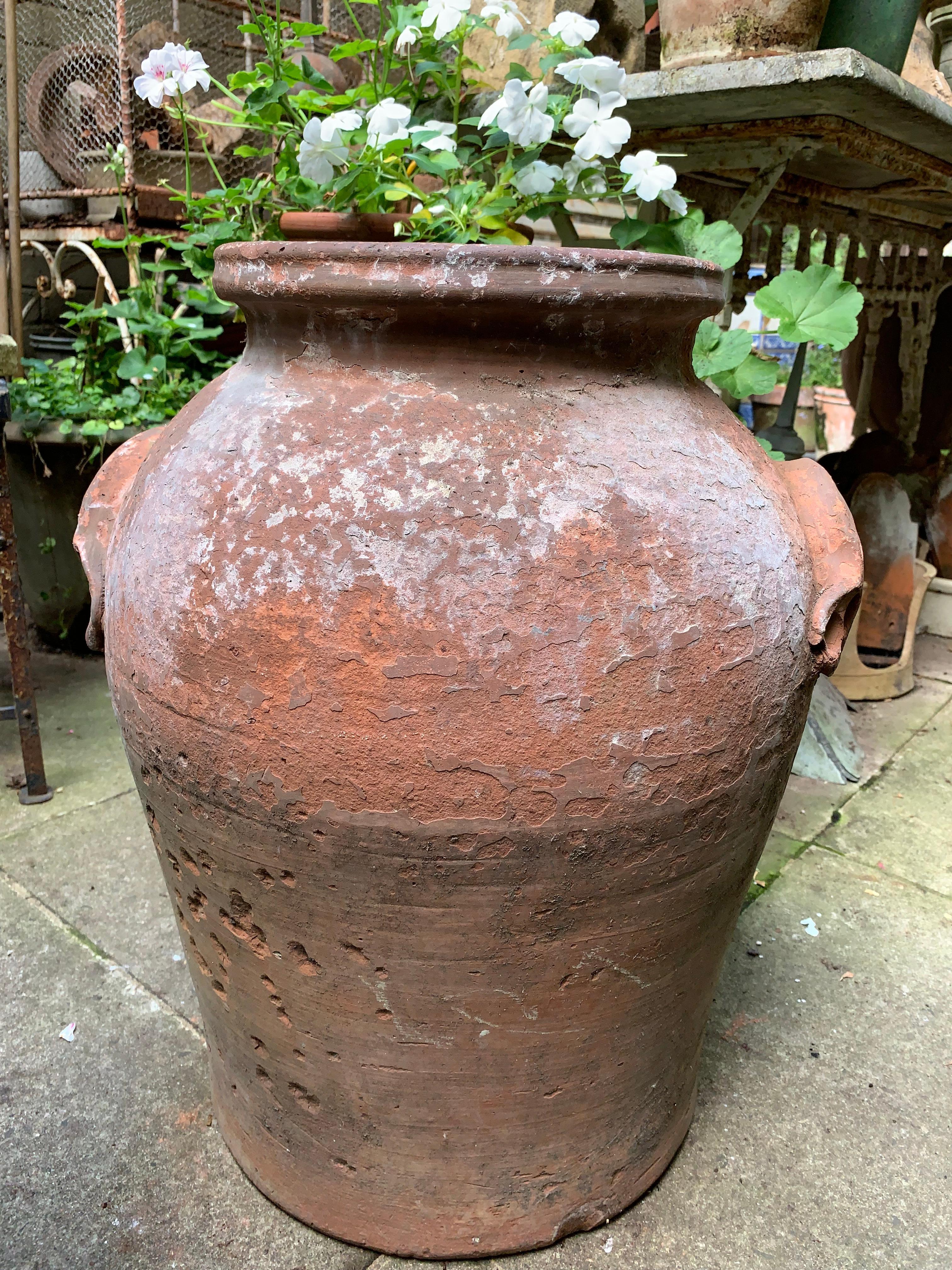 Terracotta Vaso di terracotta cinese del XIX secolo. in vendita
