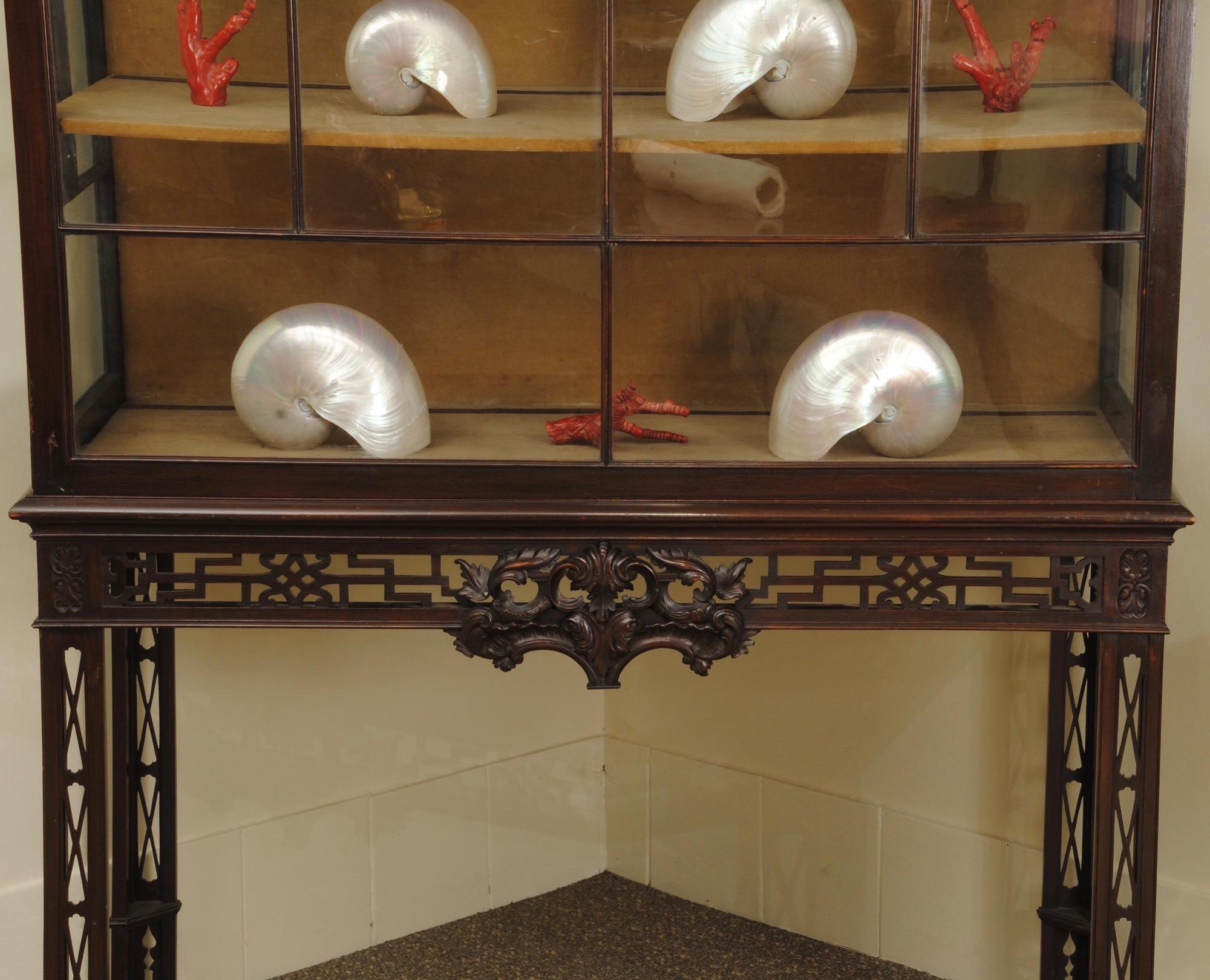 A 19th century mahogany display cabinet with finely carved details and open fret work legs to the stand, the upper section with glazed sides and front with pagoda shaped glazing bars and again with carved details.

From the second half of the 19th
